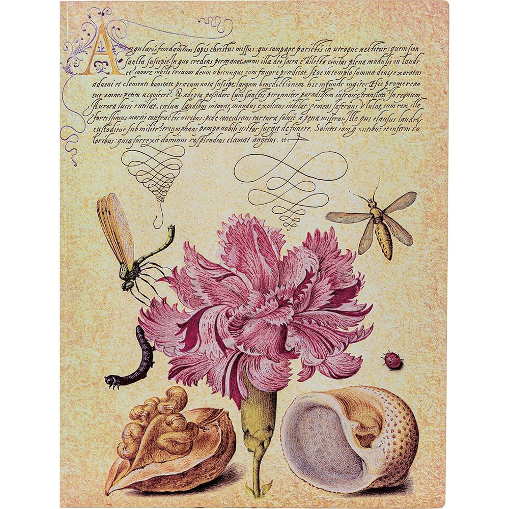 Eine detaillierte botanische Zeichnung mit Insekten und einer Muschel auf altem Papier.