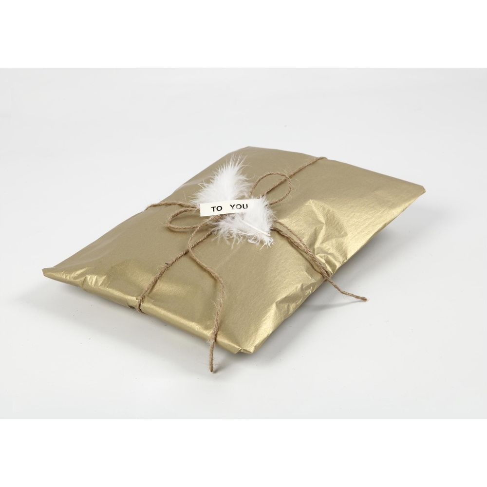 Un cadeau emballé d'or noué avec de la ficelle brune et orné d'une plume.