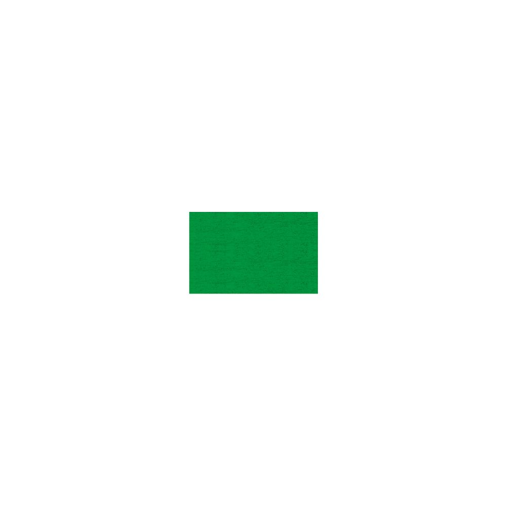 Un semplice rettangolo verde vibrante su sfondo bianco.