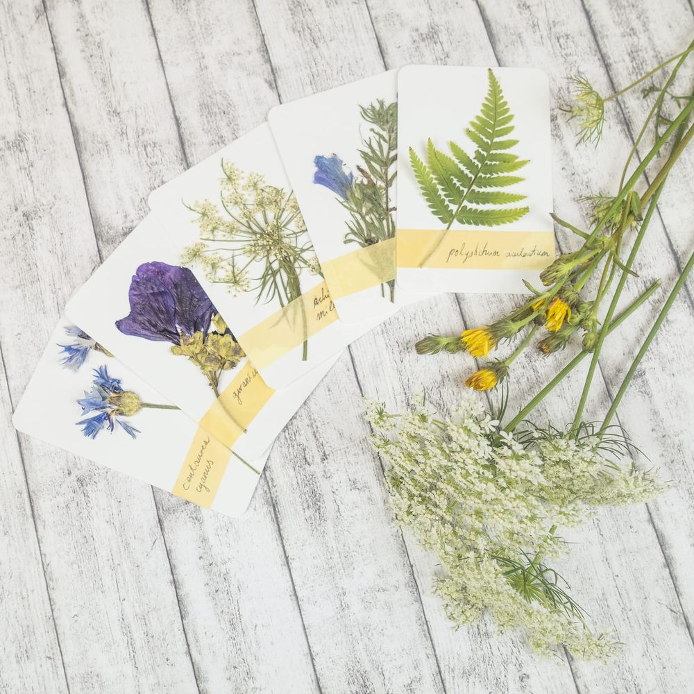 Fiori pressati su cartoline con nastro giallo su sfondo di legno.