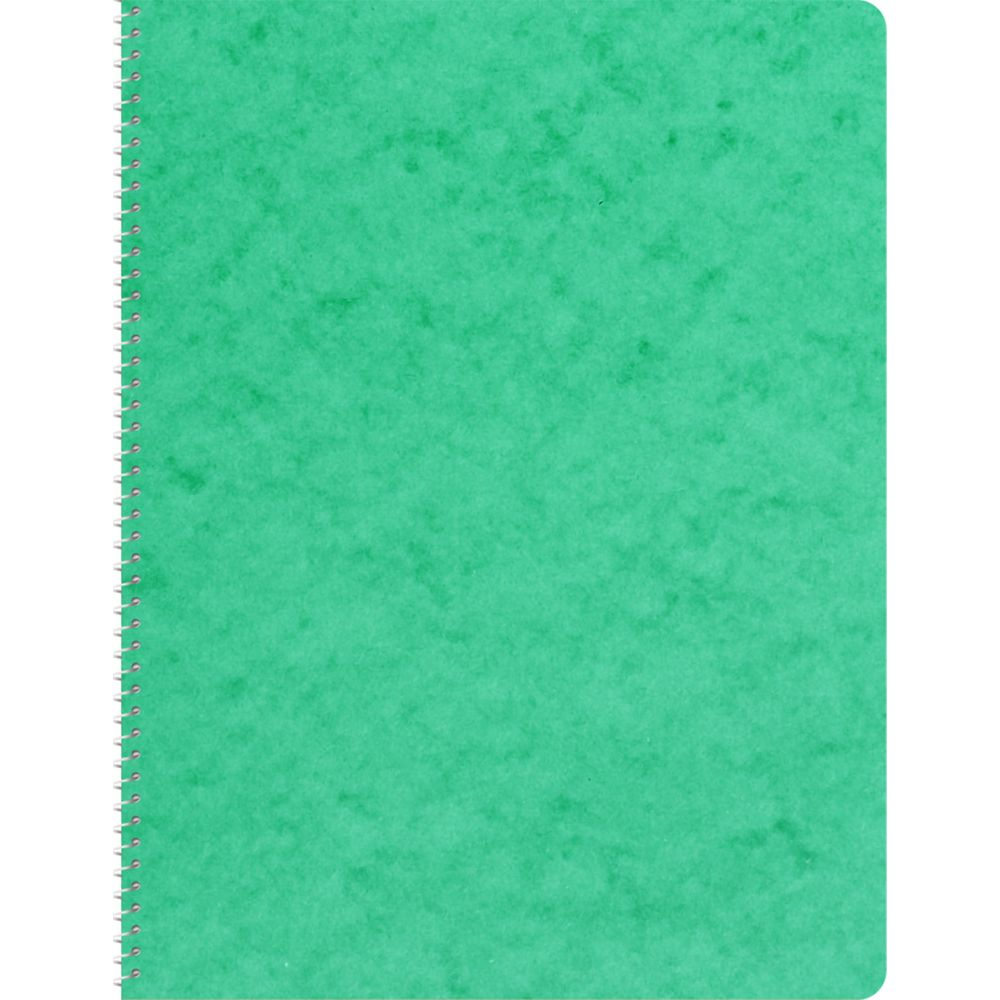Carnet vert à spirale sur fond blanc.
