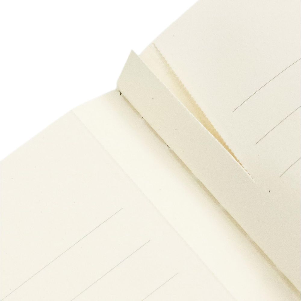 Gros plan d'un carnet ouvert aux pages crème avec de légères lignes.