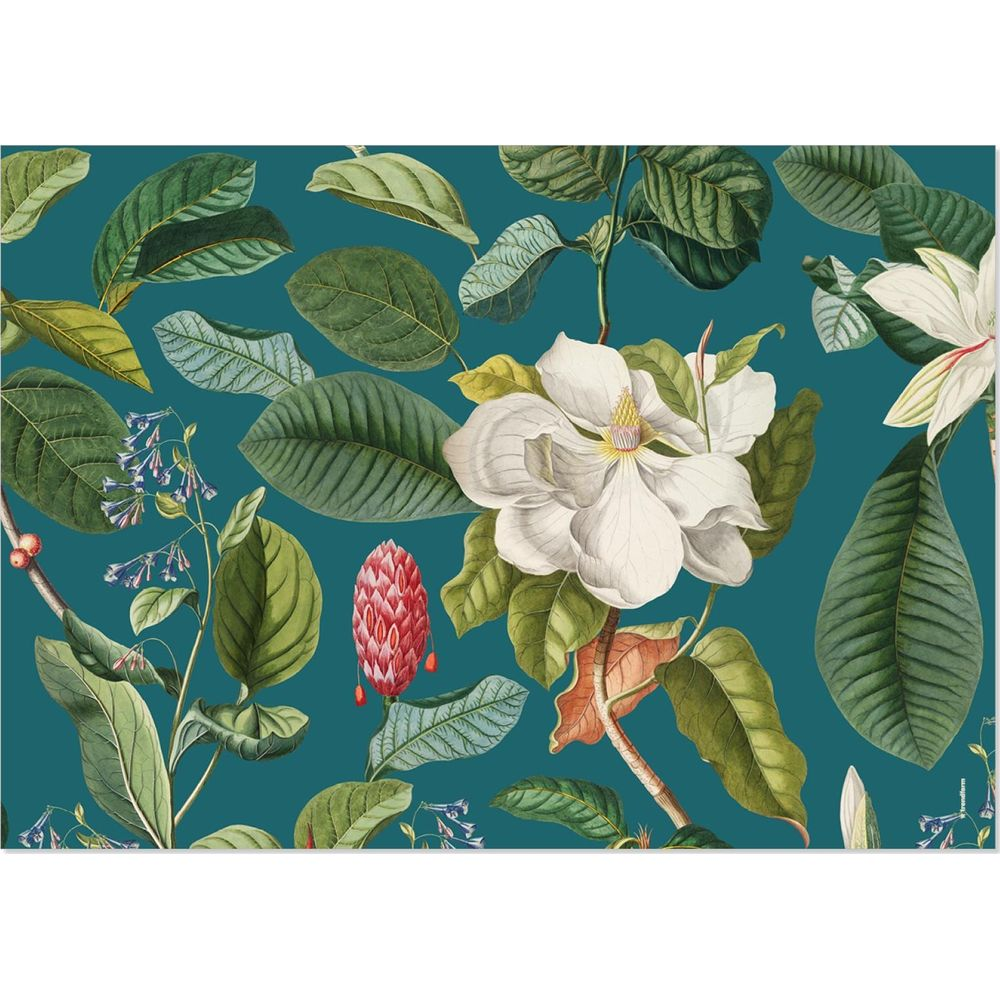 Fiore di magnolia bianco con bacche rosse e foglie verdi su sfondo blu.
