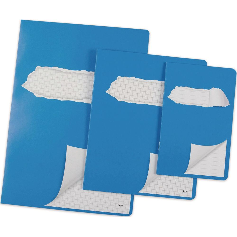 Drei blaue Hefte mit zerrissenen Einbänden, die karierte Seiten zeigen.
