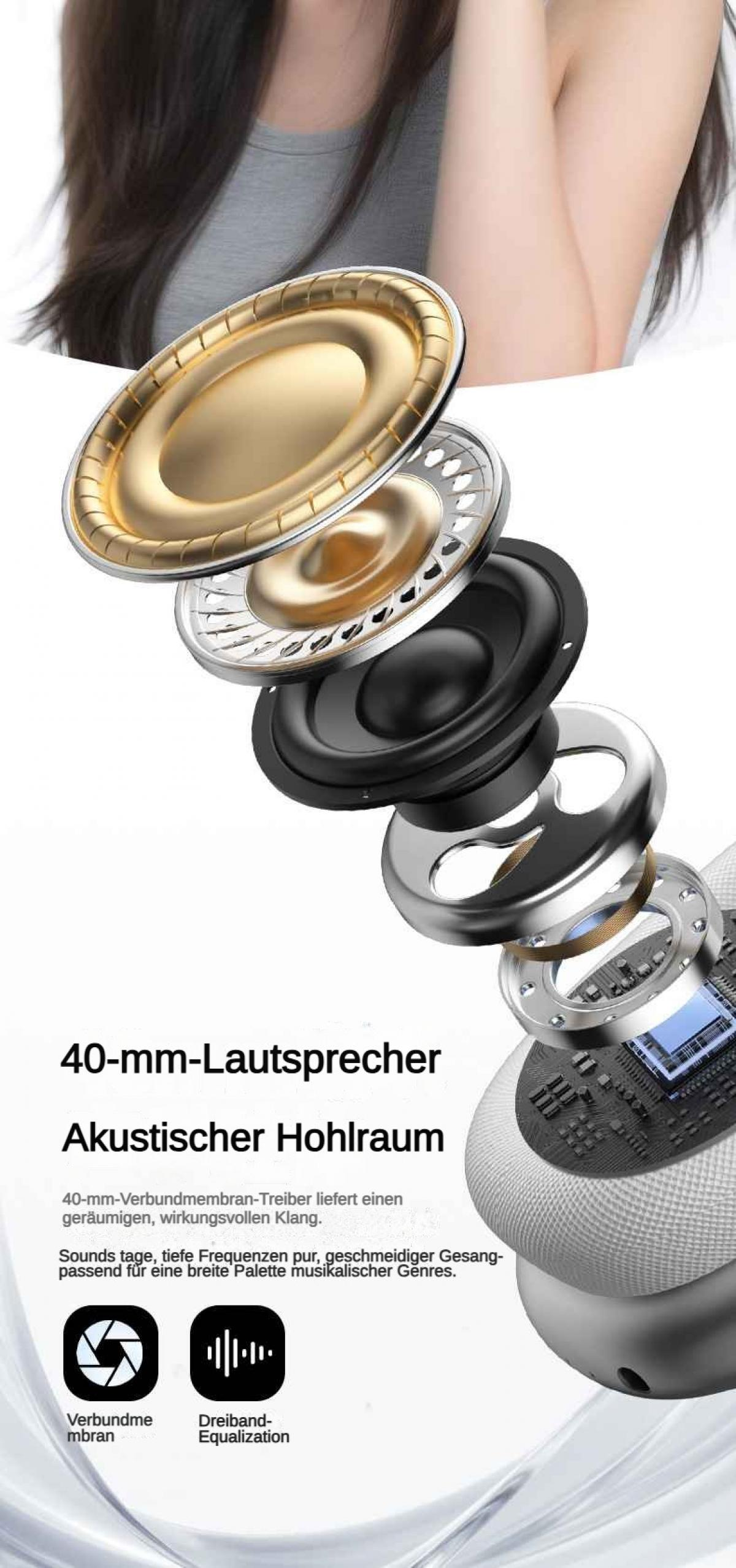 Explodierte Ansicht eines Lautsprechers mit goldenem und schwarzem Treiber.