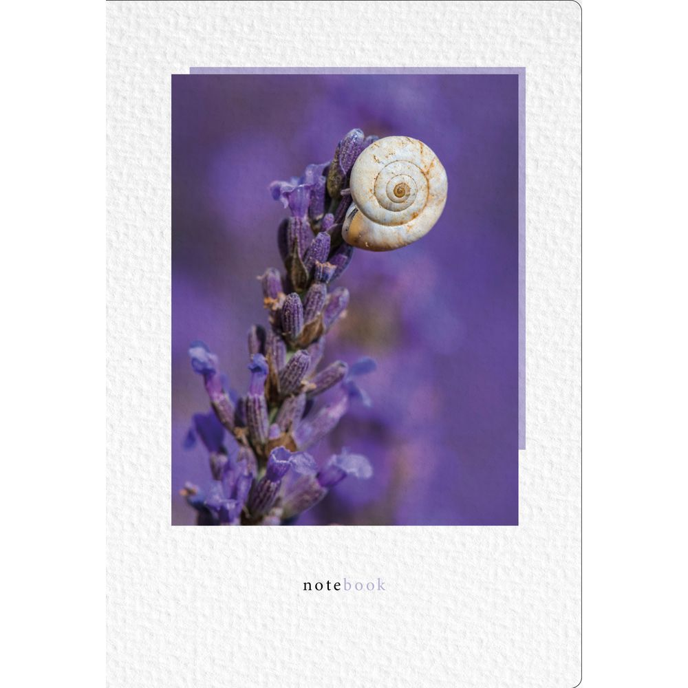 Una lumaca su un rametto di lavanda, sfondo viola.