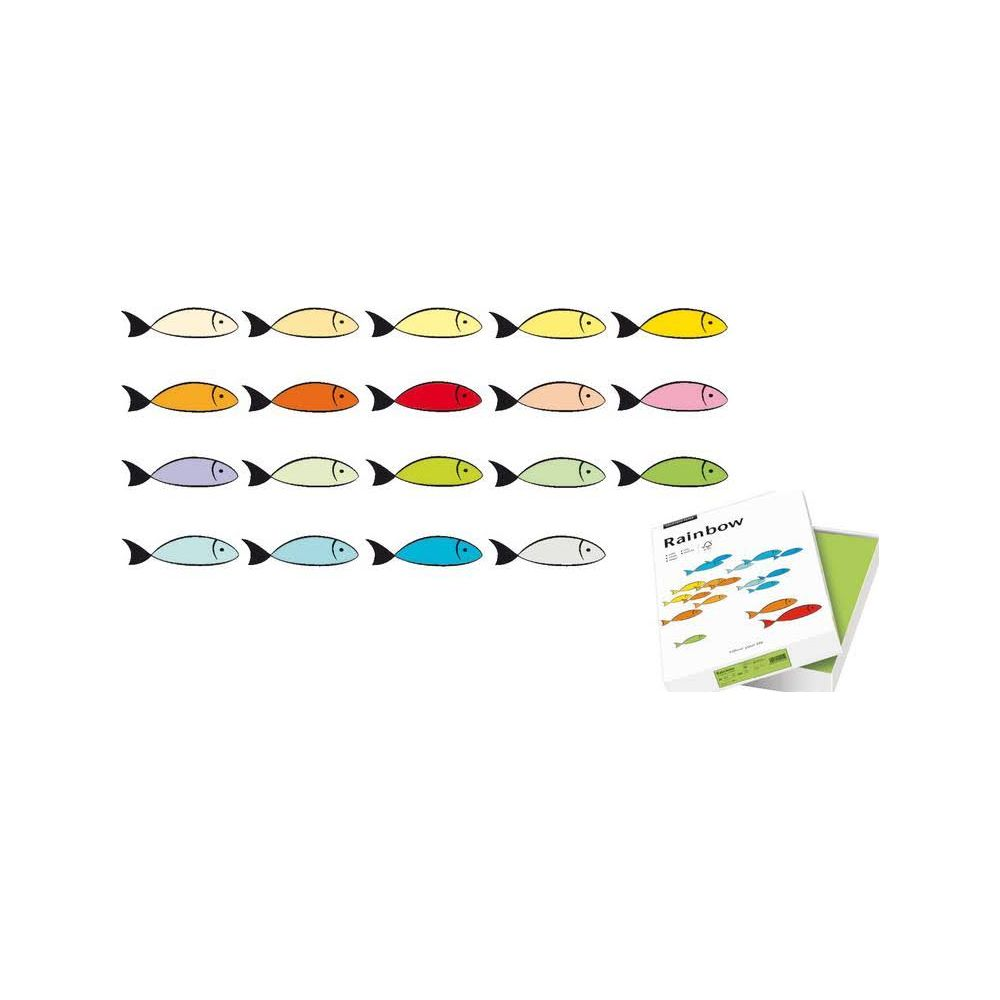 SCALDIA Carta copiativa Carta per fotocopie | 250 pezzi | MediaMarkt