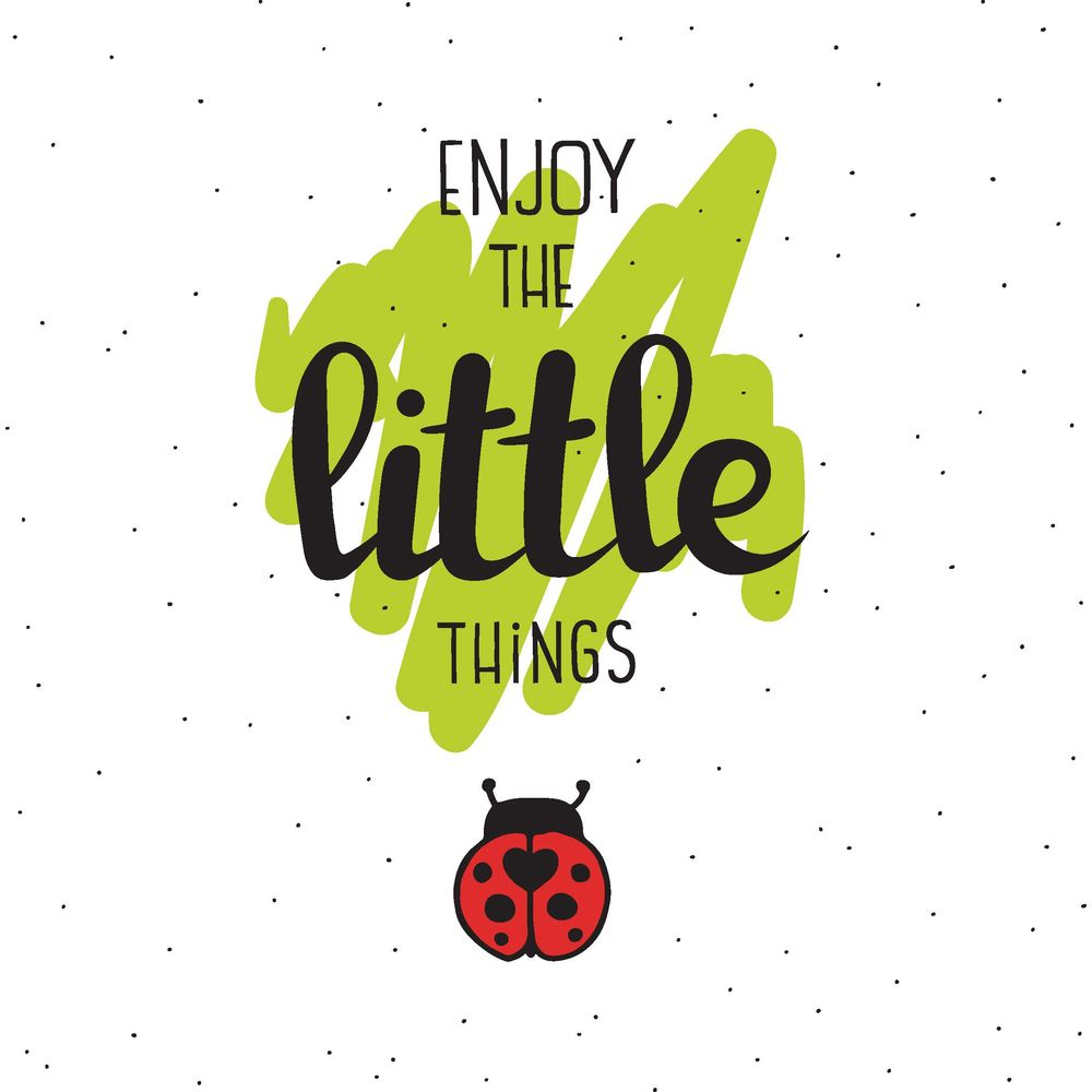 Text 'Enjoy the little things' mit Marienkäfer.