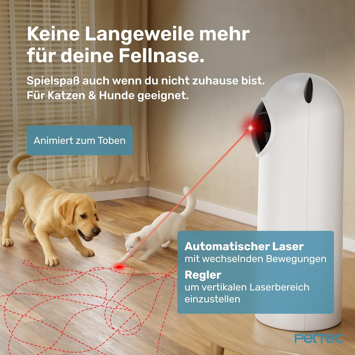 Ein gelber Hund und eine weiße Katze spielen mit einem roten Laserpunkt.