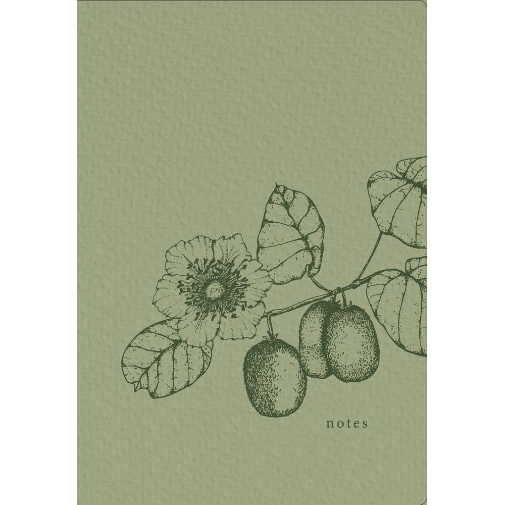 Schizzo di una pianta di kiwi con fiore e frutto su sfondo verde.