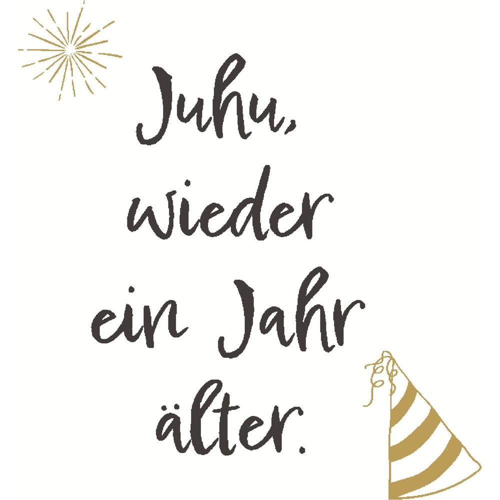 Alles Gute zum Geburtstag! Text sagt „Juhu, wieder ein Jahr älter“. Partyhut & Funkeln.