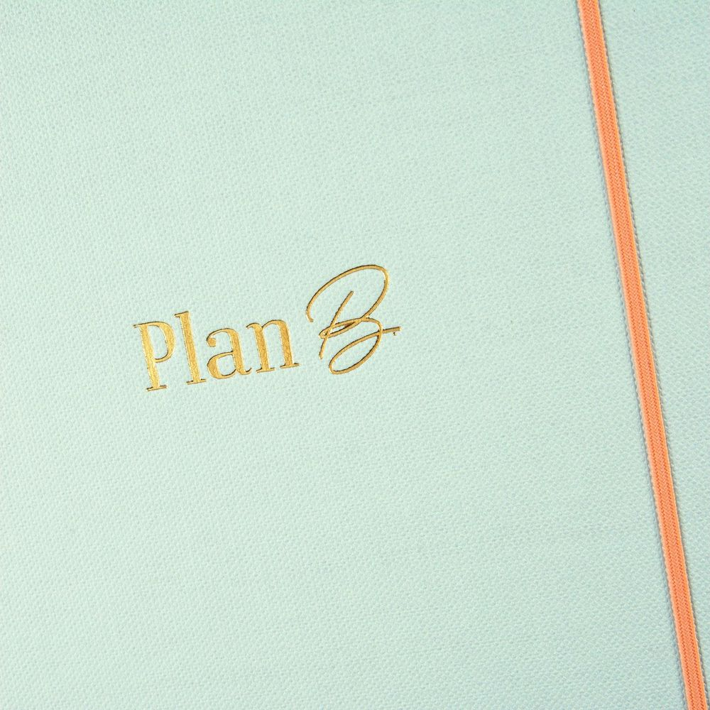 Hellblaues Notizbuch mit goldener Schrift „Plan B“ und einem orangen Gummiband.