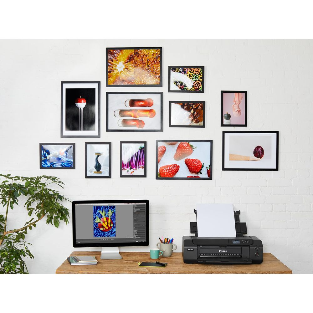 Ein Schreibtisch mit einem Monitor, der Gemüse anzeigt, und einem Drucker.