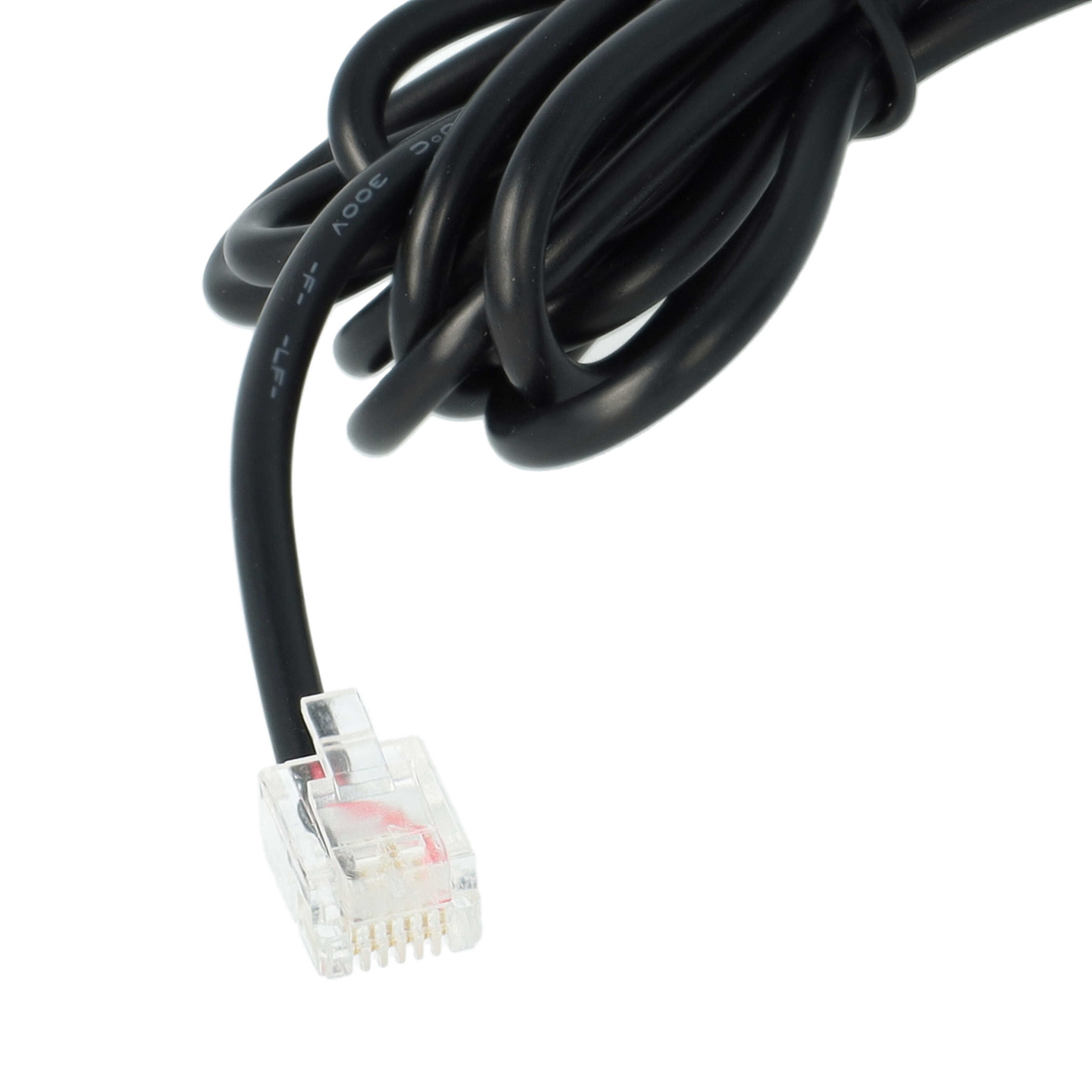 Schwarzes Kabel mit transparentem RJ45-Stecker, auf weißem Hintergrund.