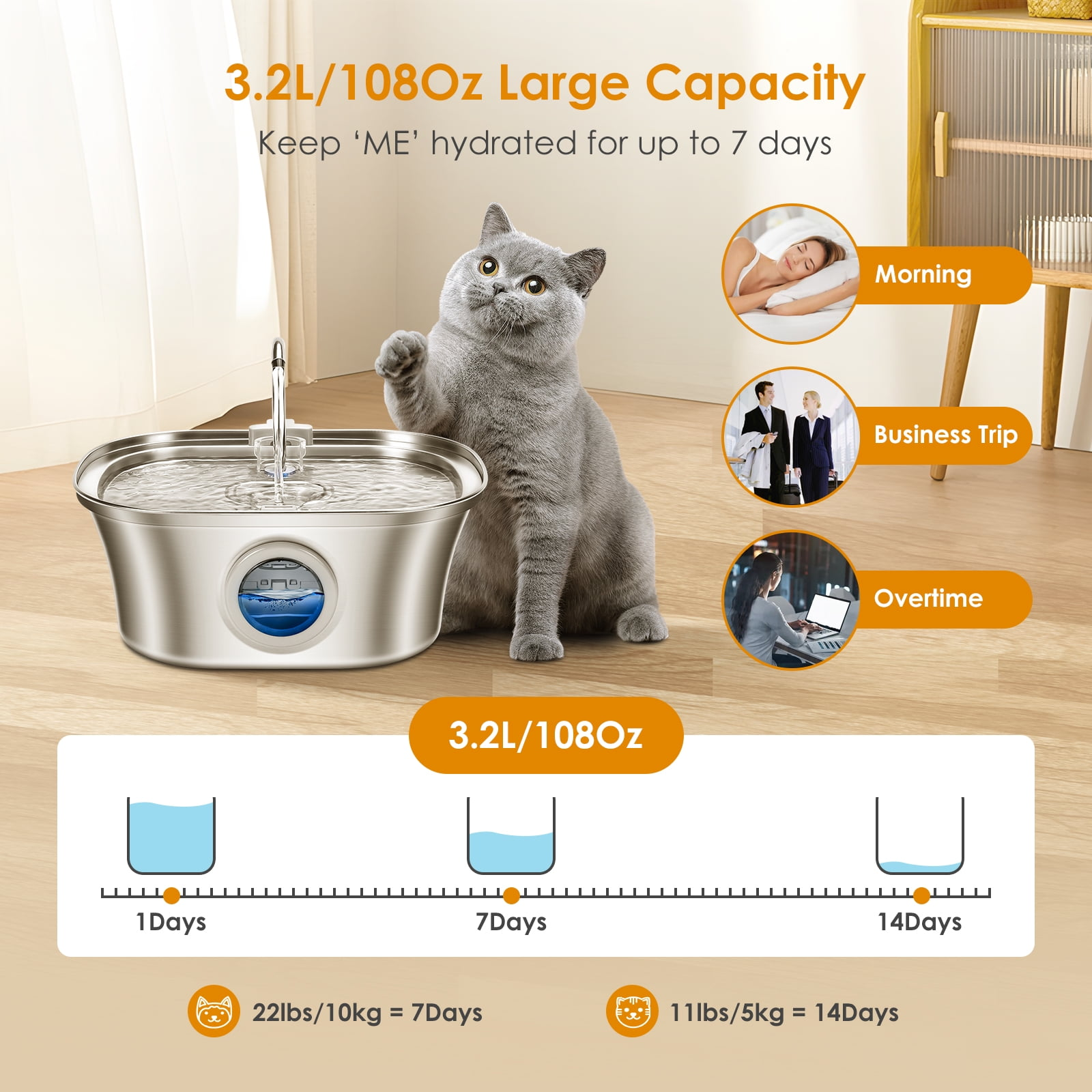 Graue Katze sitzt neben einem Wasserspender mit 3,2L Kapazität.