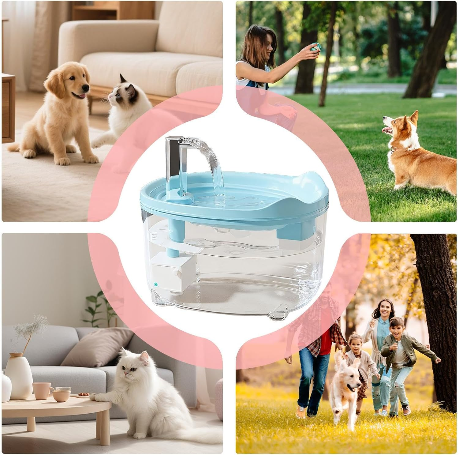Collage mit einem Wasserspender, Hunden, einer Katze und einer Familie.