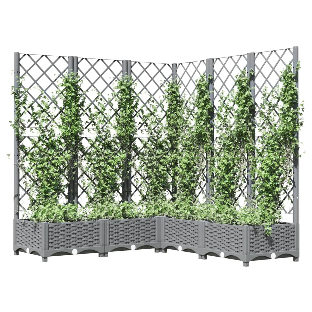 Graue Hochbeete mit Gittern und Rankenpflanzen vor weißem Hintergrund.