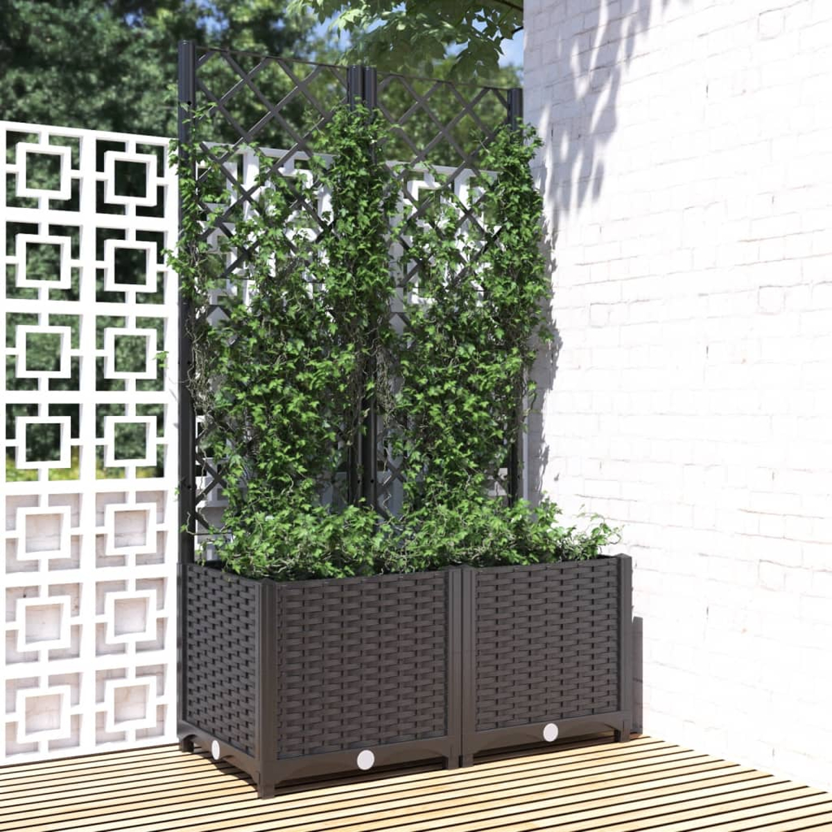 Due fioriere marrone scuro con edera verde su traliccio, accanto a uno schermo decorativo bianco.