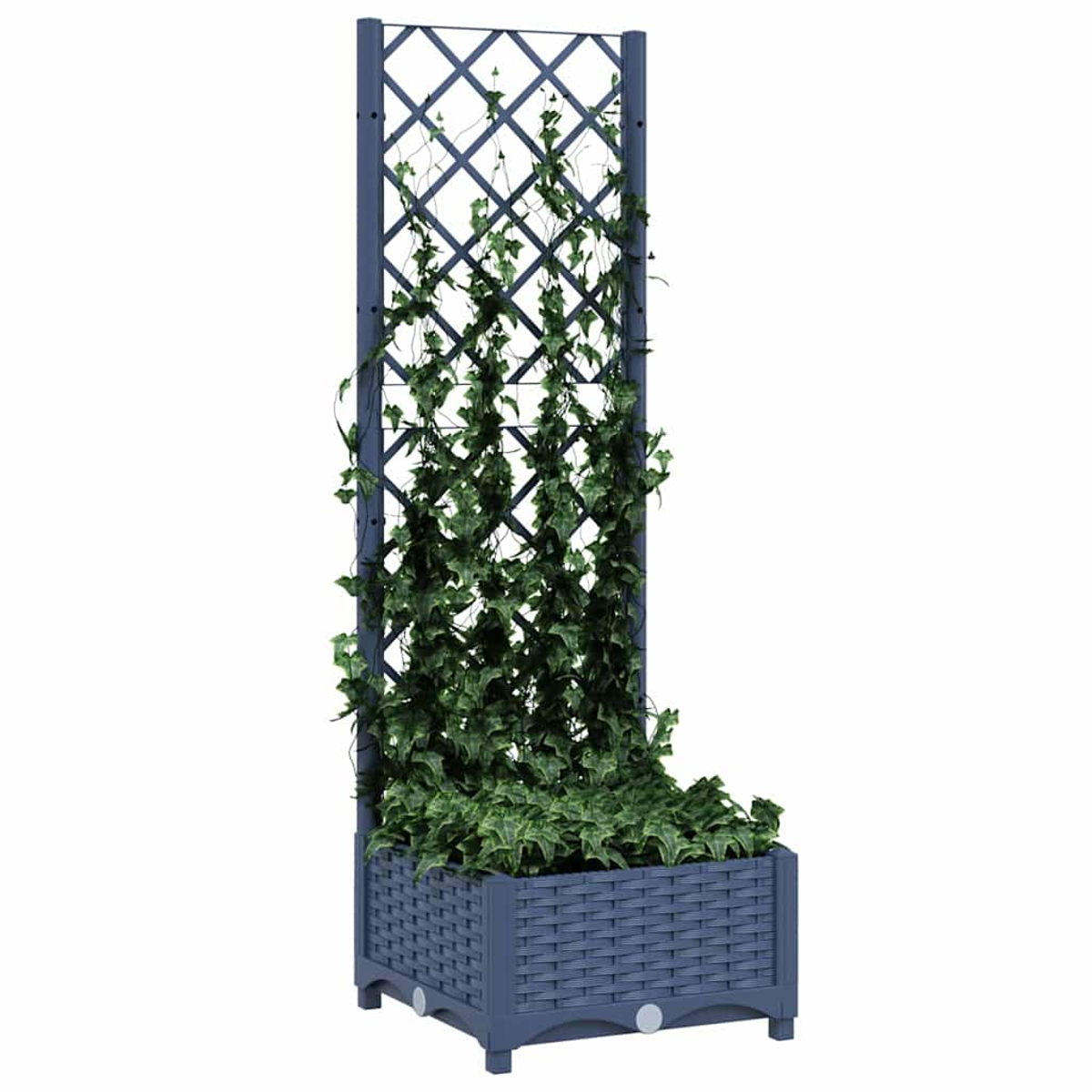 Fioriera blu scuro con traliccio coperto d'edera.