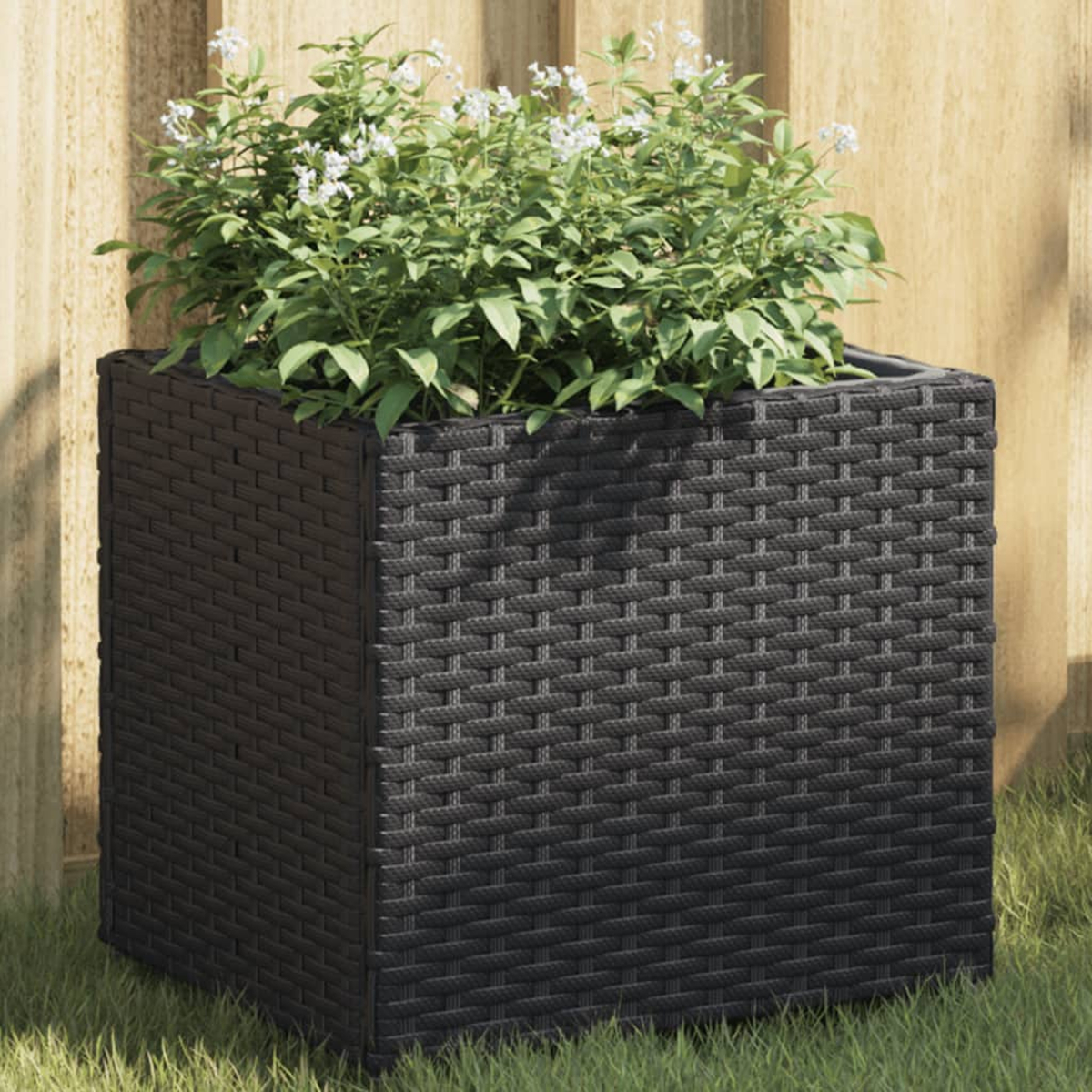 Un fioriera rettangolare in rattan scuro con piante verdi e piccoli fiori bianchi.