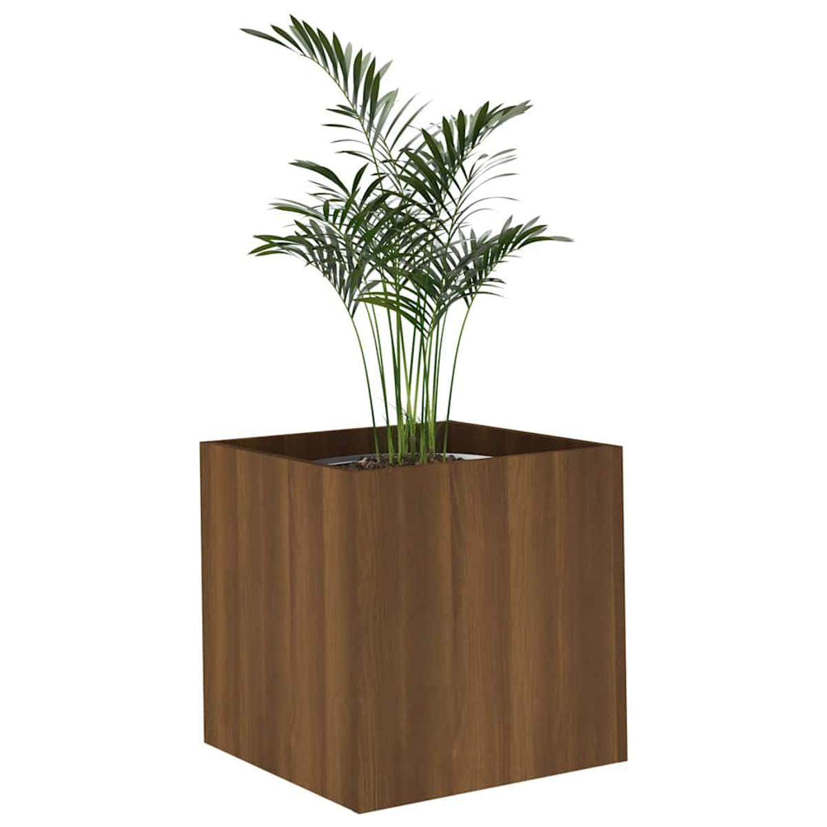 Eine grüne Palme in einem braunen Holzwürfel-Pflanzgefäß.