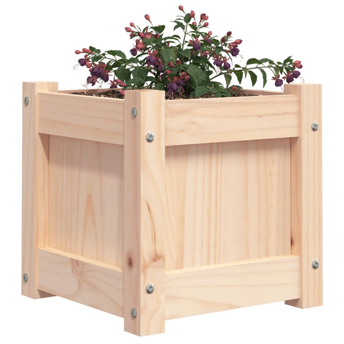 Ein hölzerner Blumenkasten mit einer blühenden Pflanze mit lila Blüten.