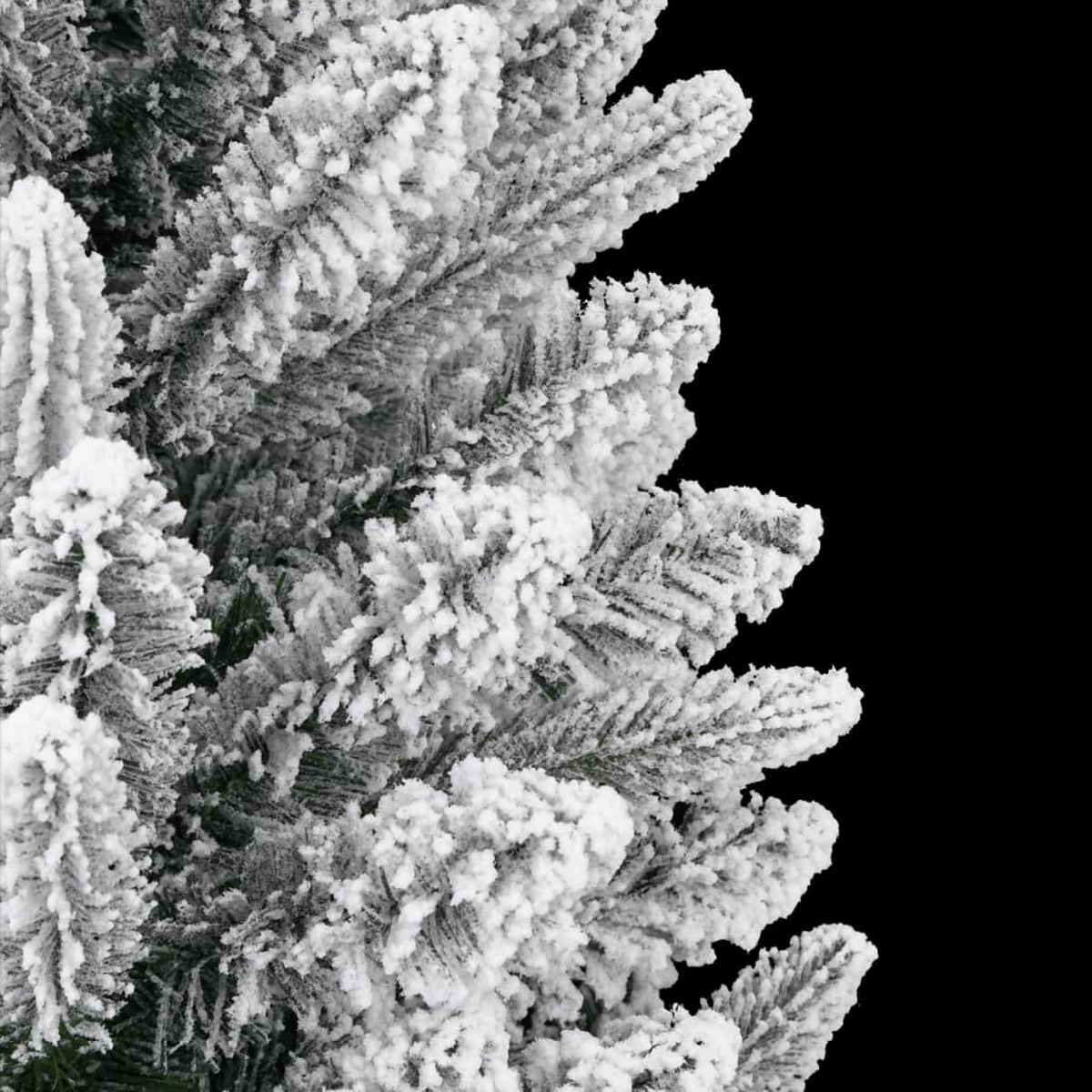 Nahaufnahme von Schneebedeckten Tannenzweigen vor schwarzem Hintergrund.