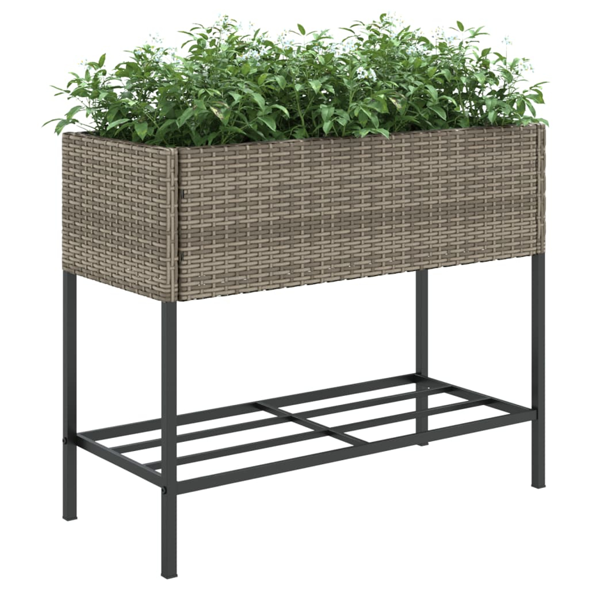 Una fioriera rialzata rettangolare con rattan grigio e piante.