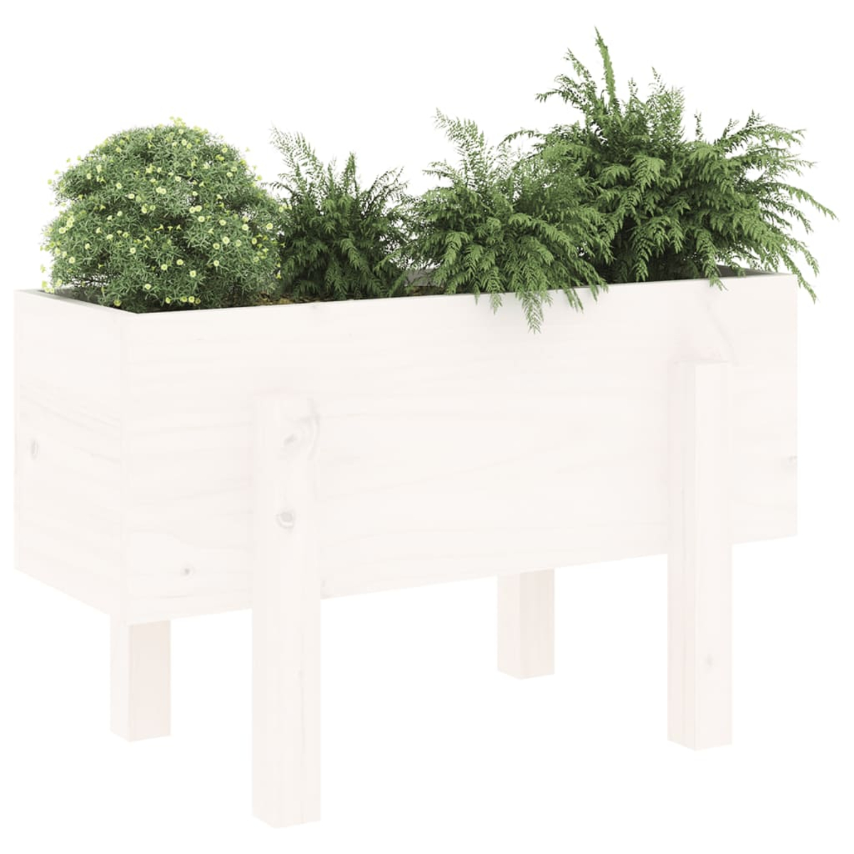 Ein weißer Holzhochbeet mit grünen Pflanzen darauf.