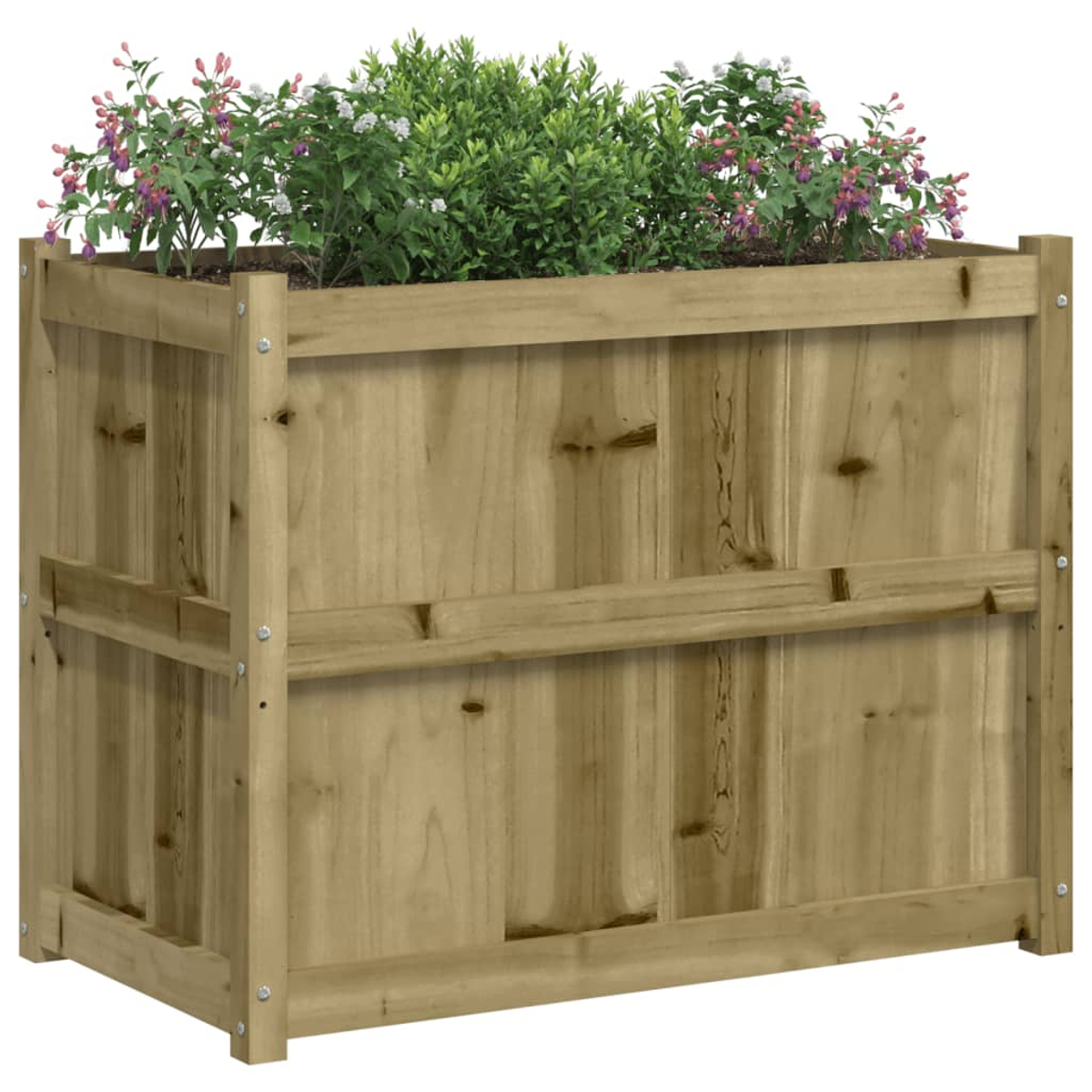 Ein hölzerner Hochbeet mit grünen Pflanzen und lila Blüten auf weißem Hintergrund.