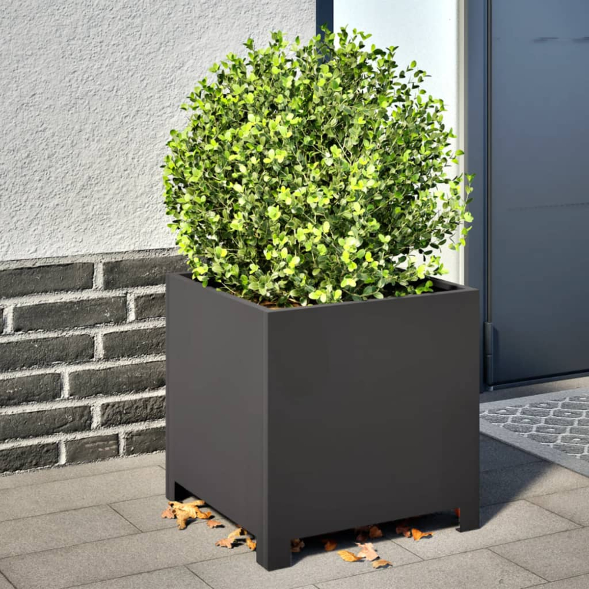Un cespuglio verde rotondo in un fioriera grigio scuro quadrata su un patio pavimentato.