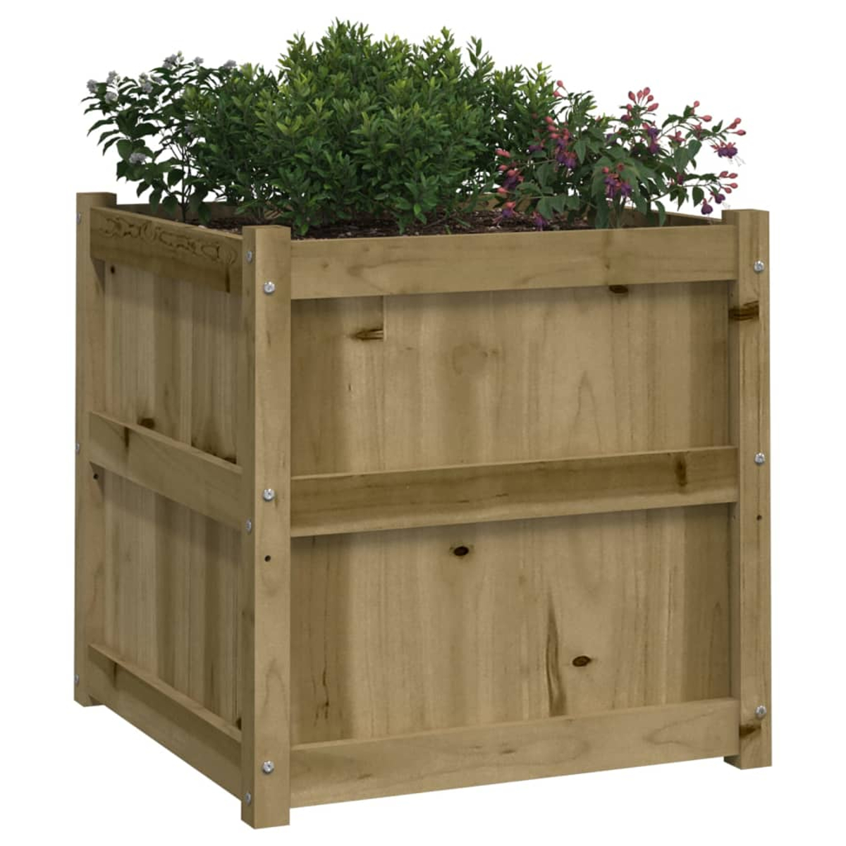 Ein hölzerner Hochbeet mit grünen Pflanzen und lila Blüten, auf weißem Hintergrund.