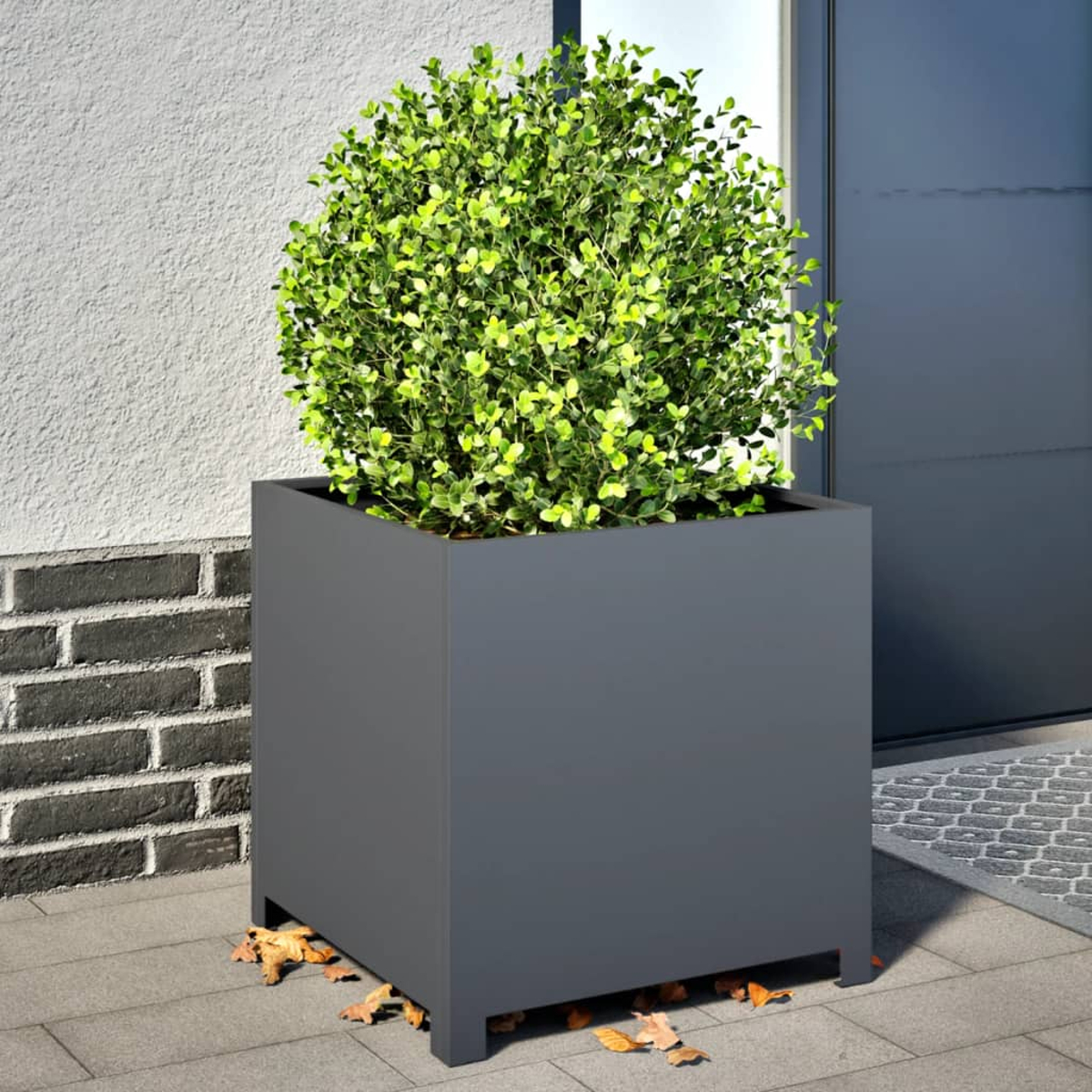 Un cespuglio verde in un fioriera rettangolare scura su un patio di pietra con foglie.
