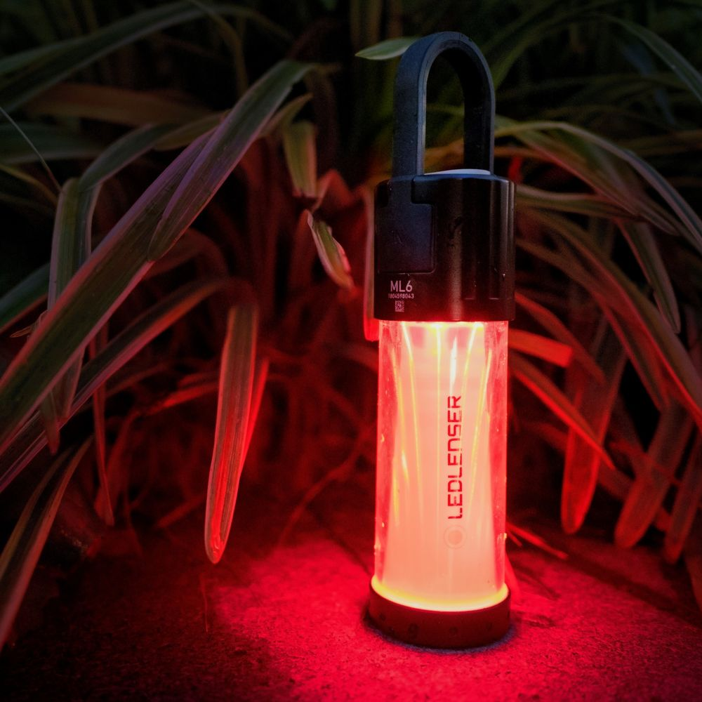 Une lanterne LED rouge sur une surface rouge, entourée de feuilles vertes et violettes.