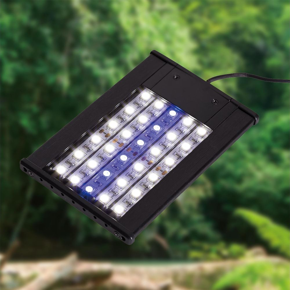 Ein schwarzer LED-Aquarienlichtbalken mit weißen und blauen Lichtern vor einem unscharfen grünen Hintergrund.