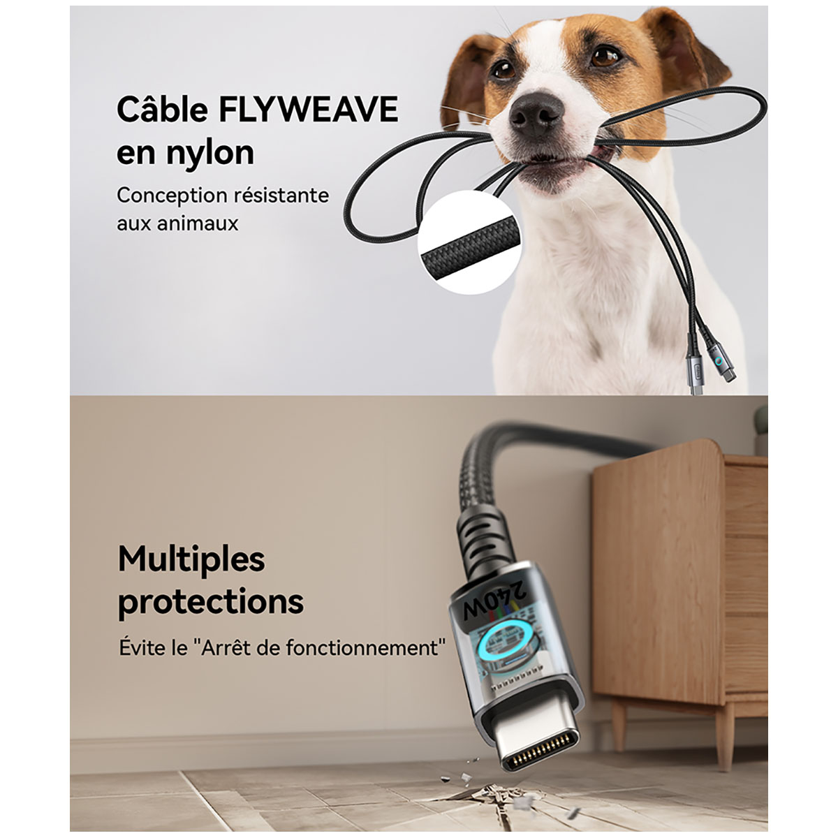 Un cane tiene un cavo nero in bocca. Un altro cavo con connettore USB-C giace nelle vicinanze.