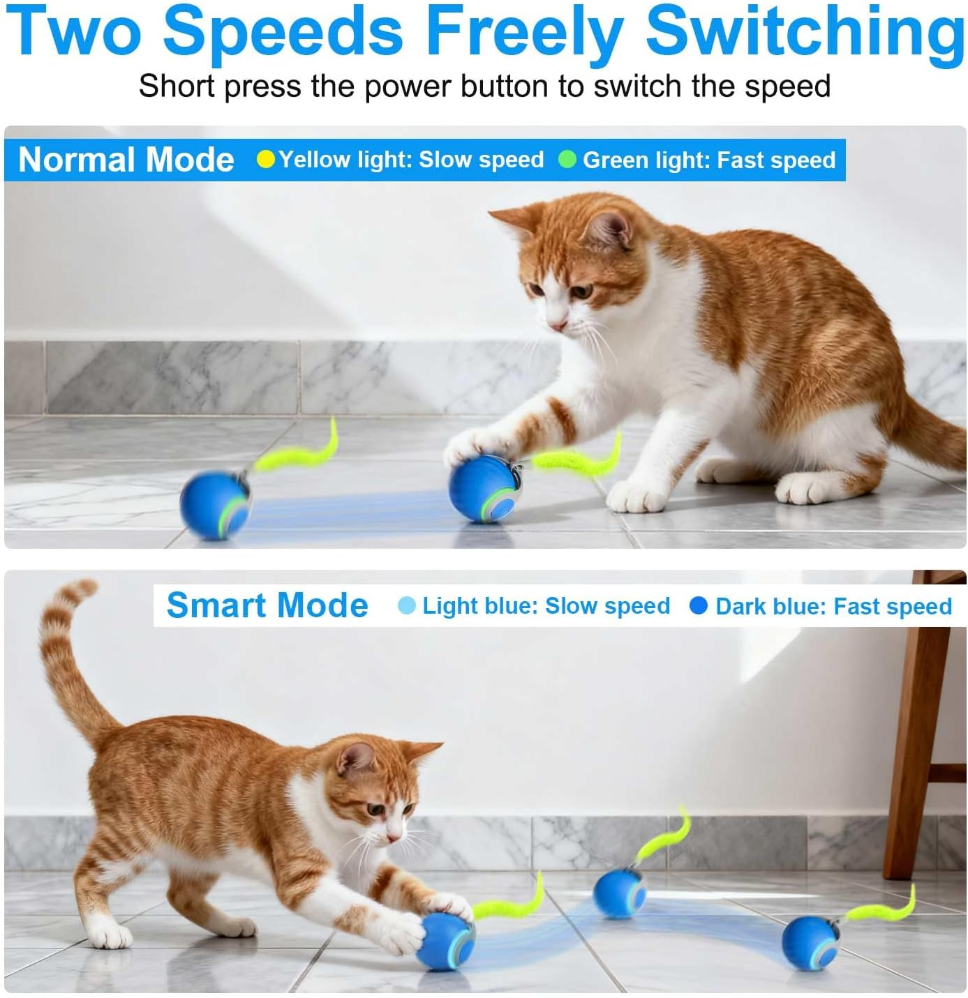 Katze spielt mit blauem Ballspielzeug, das sich auf dem Boden bewegt.