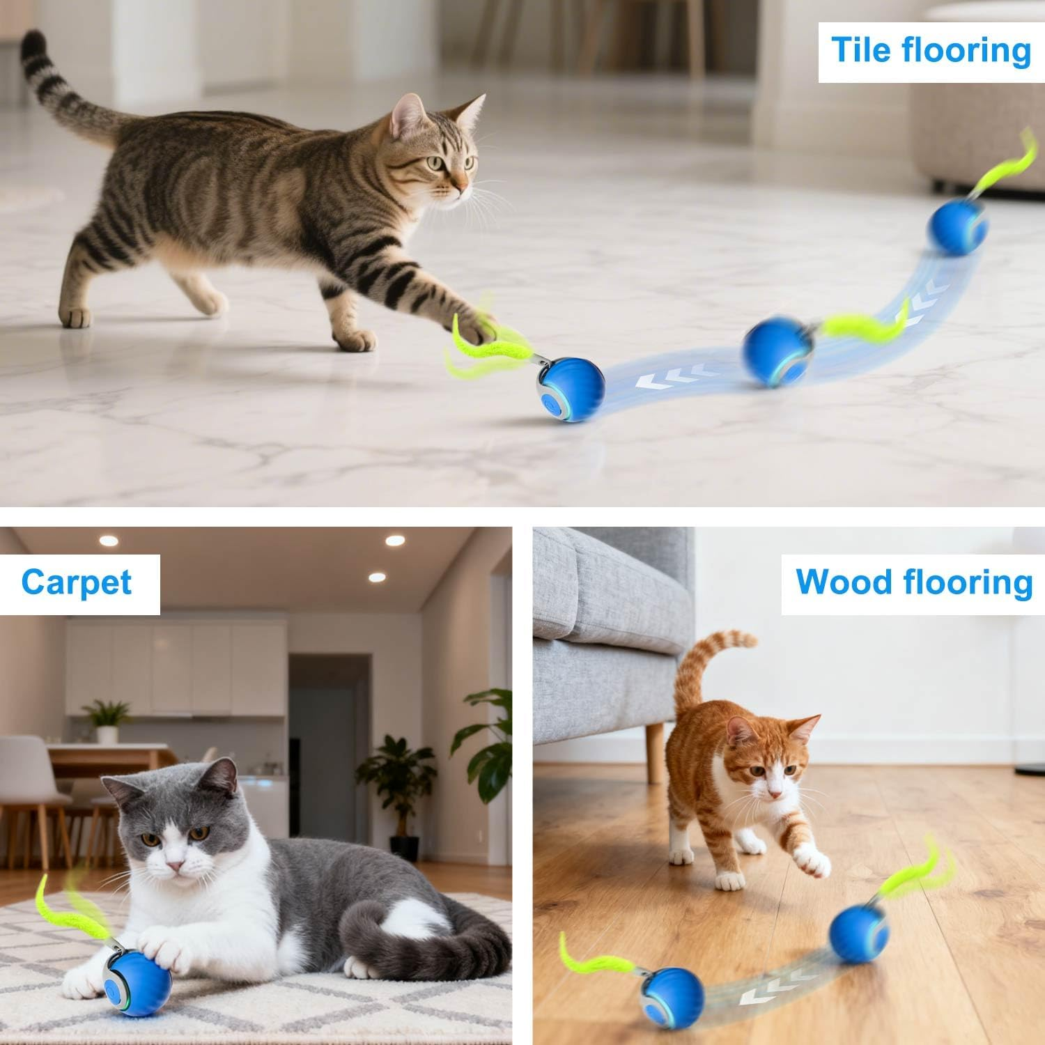 Katzen spielen mit einem blauen Spielzeug auf verschiedenen Böden: Fliesen, Teppich, Holz.