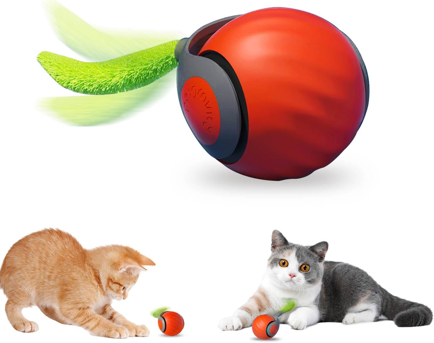 Rote und graue Katze spielen mit orangefarbener Spielzeugkugel auf weißem Hintergrund.