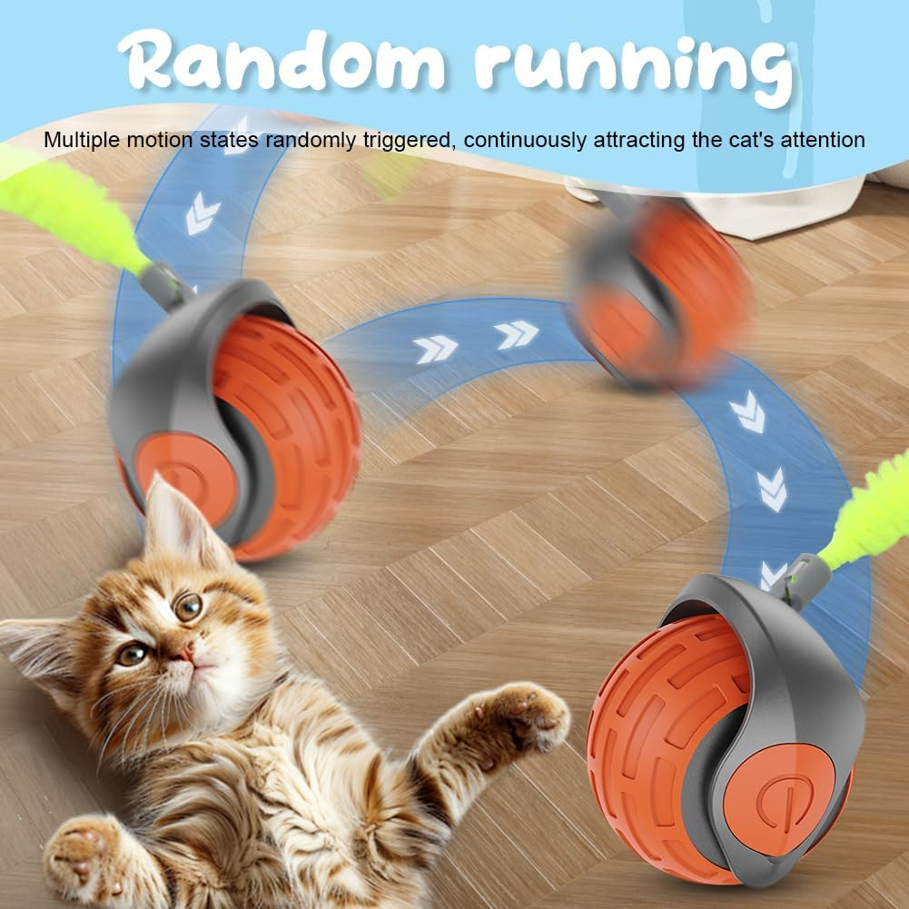 Eine Katze liegt auf dem Boden neben einem orangefarbenen Spielzeug mit Federn.