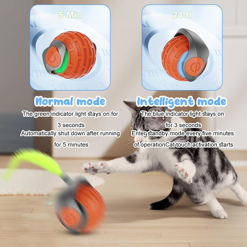 Katze spielt mit einem orangefarbenen Spielzeugball mit Lichtern in Normal- und Intelligenten Modi.