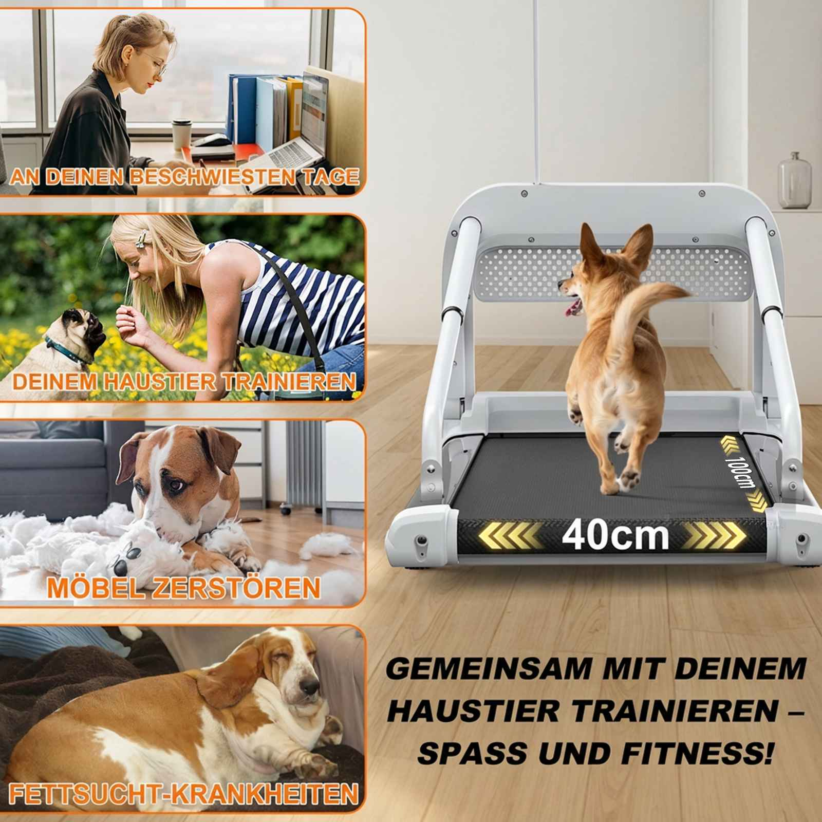 Ein Hund läuft auf einem Laufband. Daneben sind Bilder von Menschen und Hunden.