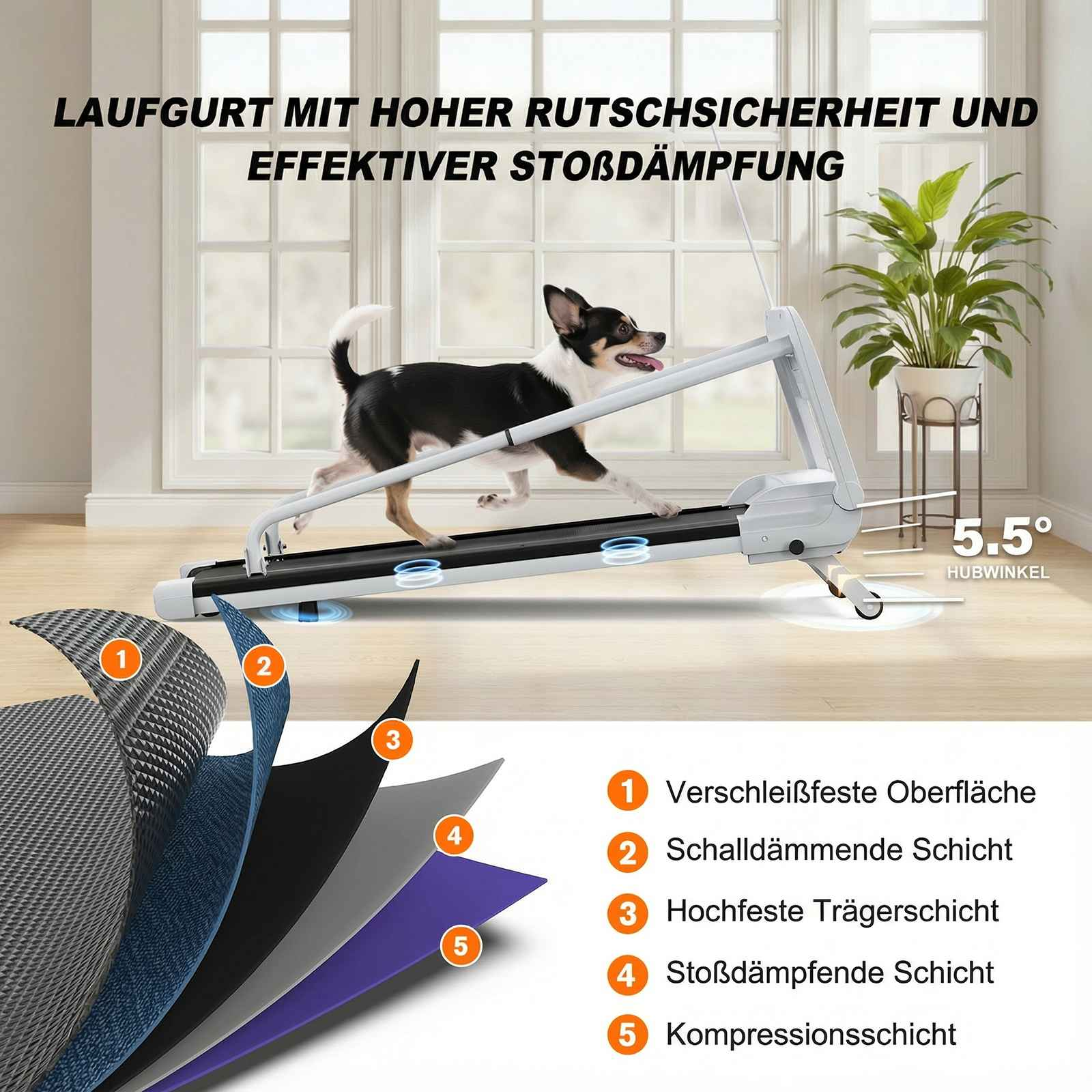 Ein Hund läuft auf einem Laufband mit 5 Schichten. Die Schichten sind nummeriert.