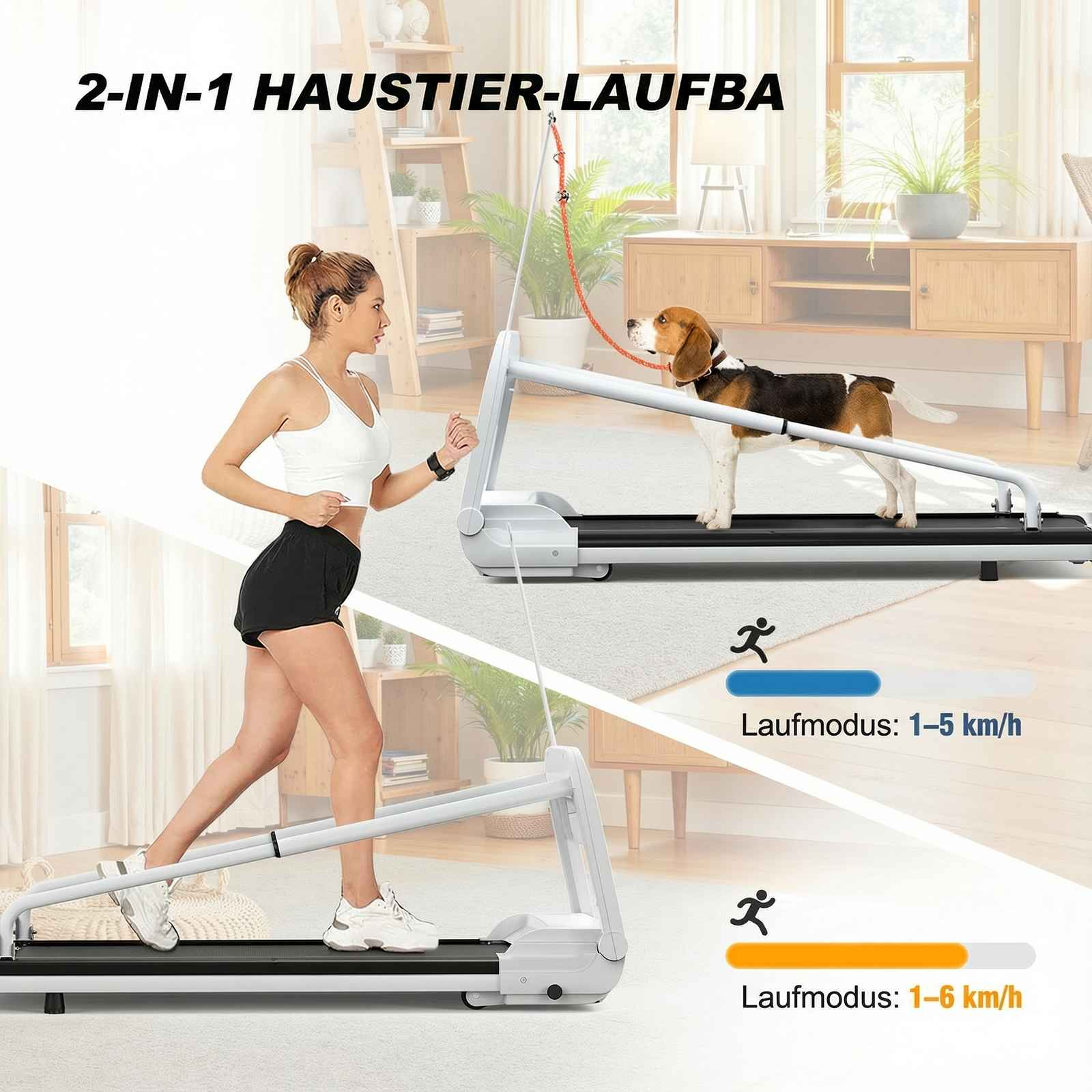 Frau und Hund auf Laufbändern mit Geschwindigkeitsanzeigen.