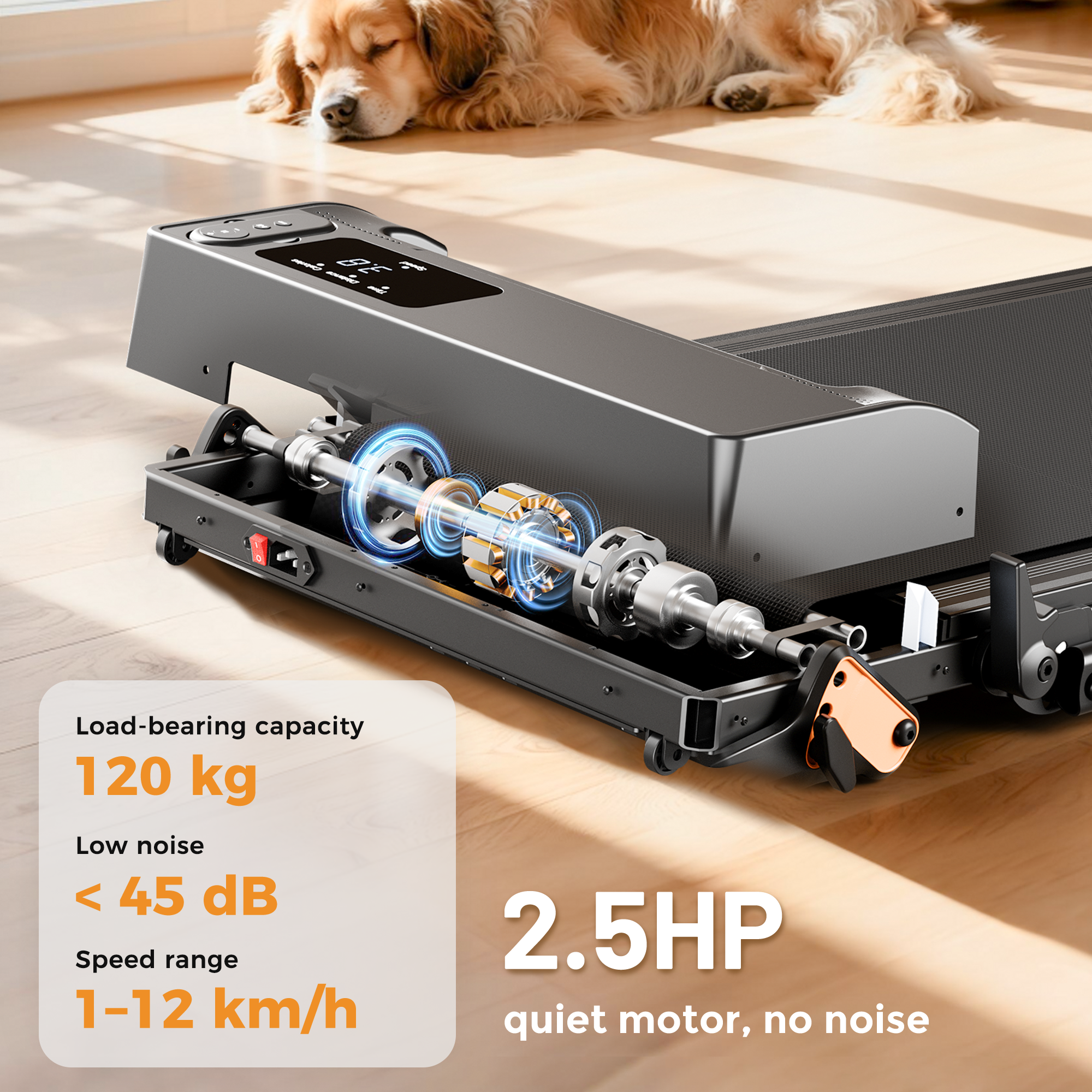 Tapis roulant motore 2,5 CV, capacità 120 kg, <lt/>45 dB basso rumore.