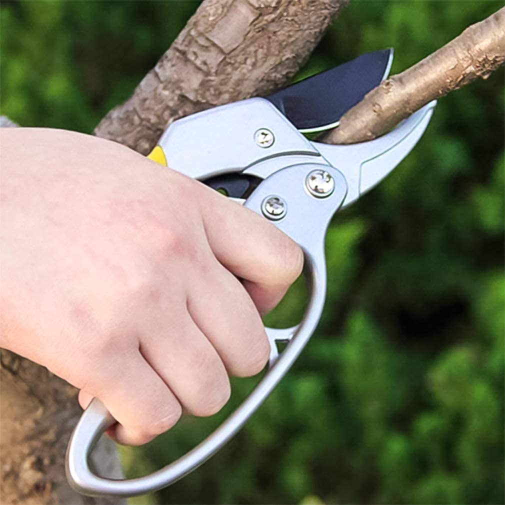 Eine Hand hält eine Gartenschere, um einen Ast abzuschneiden.