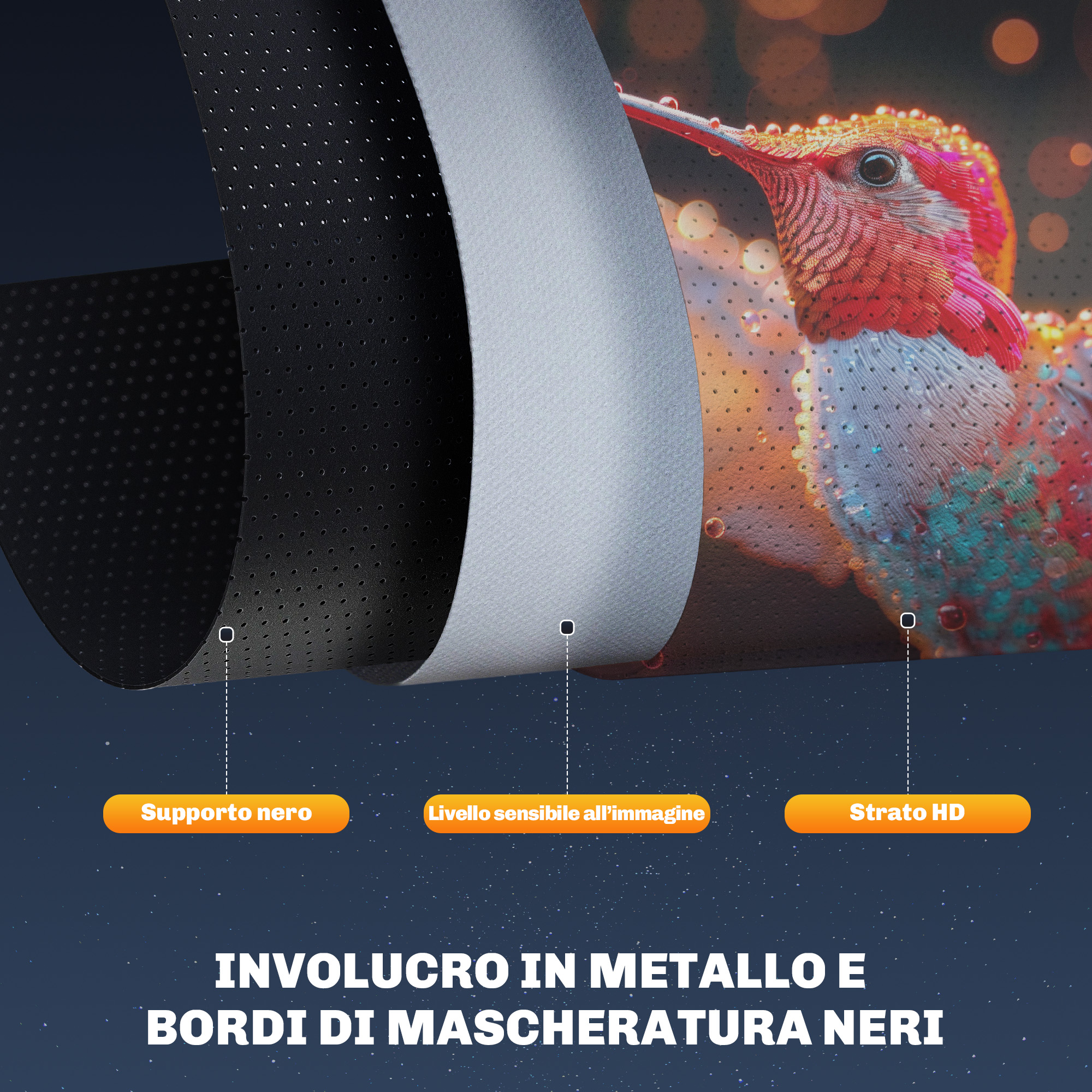 Supporto nero, strato sensibile all'immagine, strato HD. Colibrì ravvicinato.