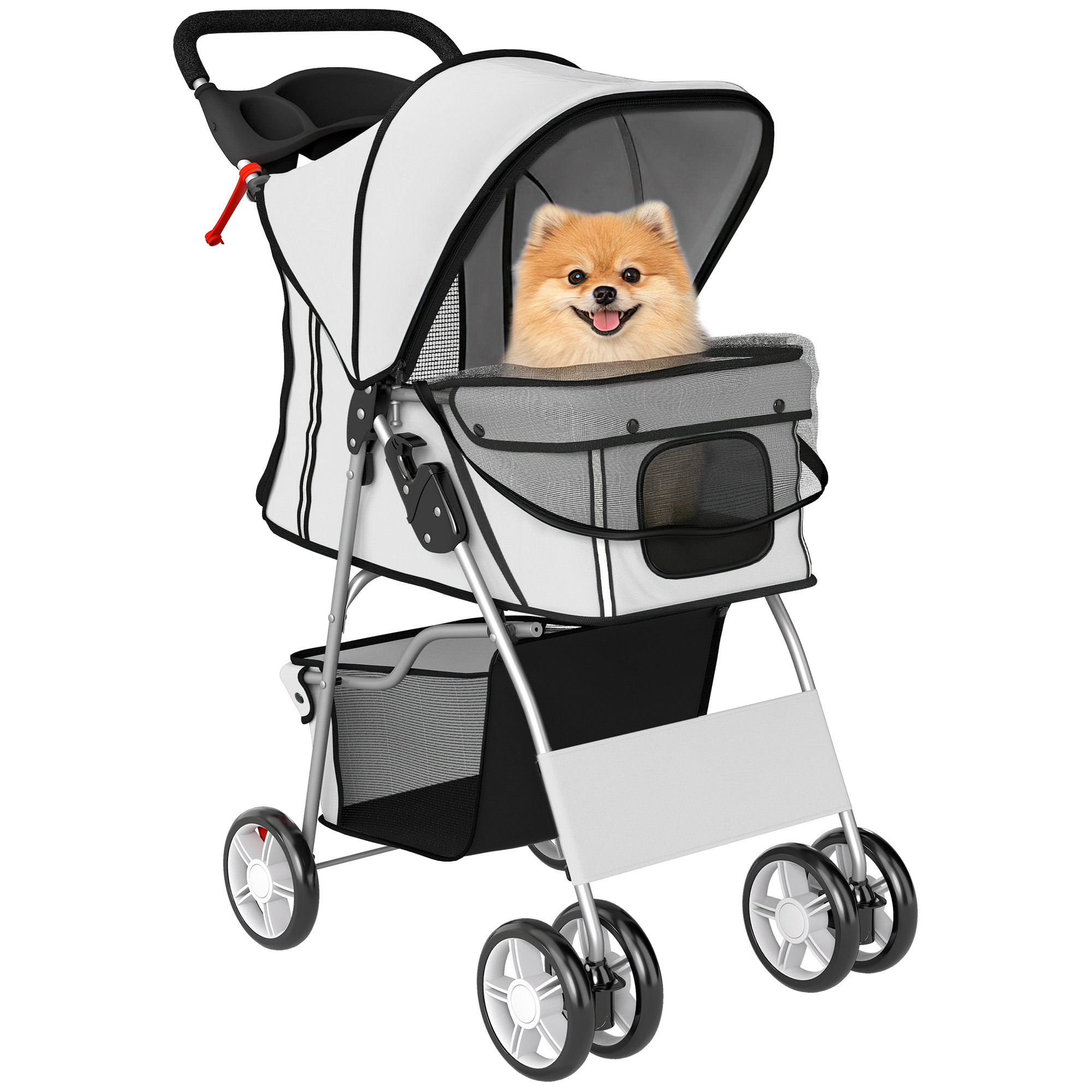 Un soffice Pomerania seduto in un passeggino bianco.