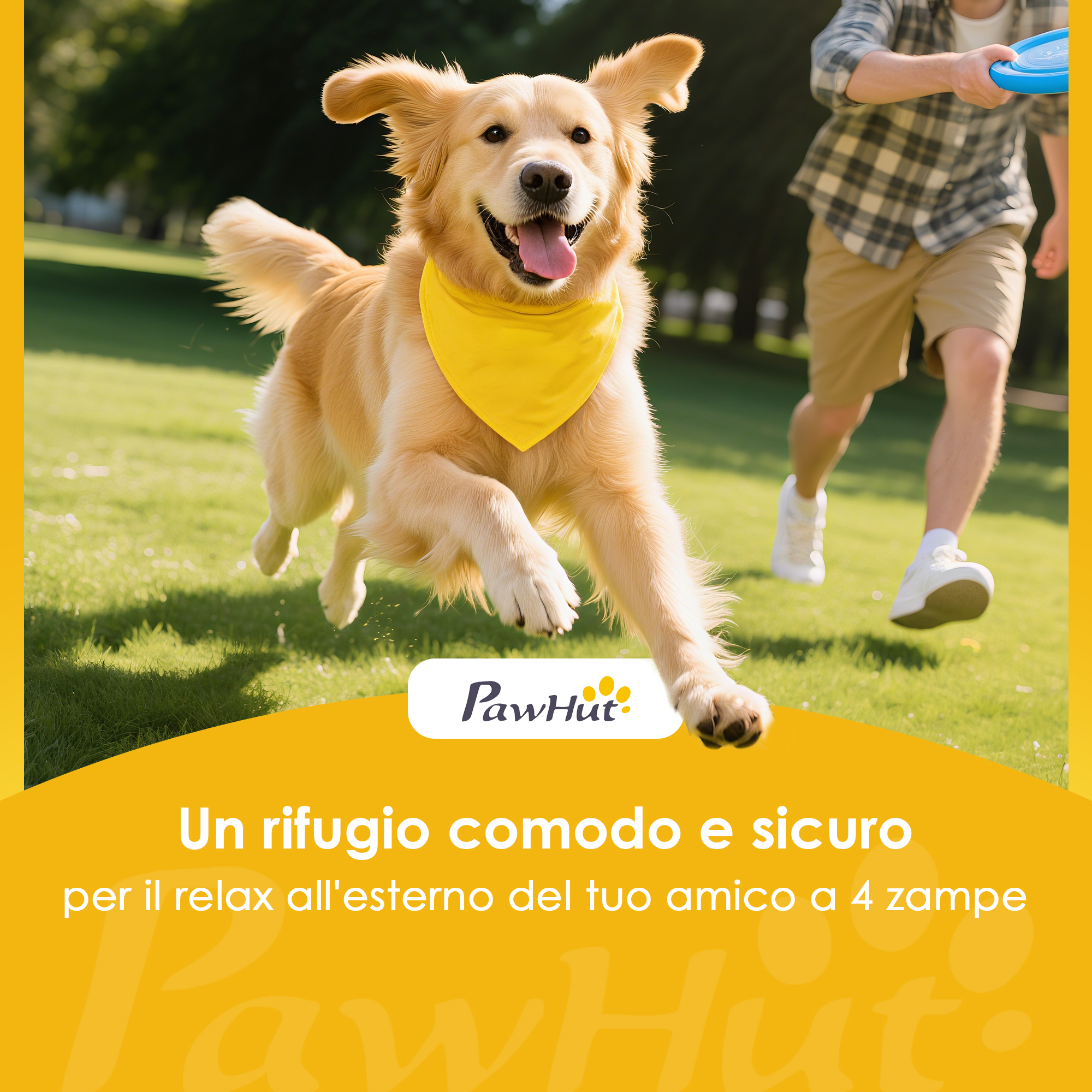 Un Golden Retriever con bandana gialla corre su un prato verde.