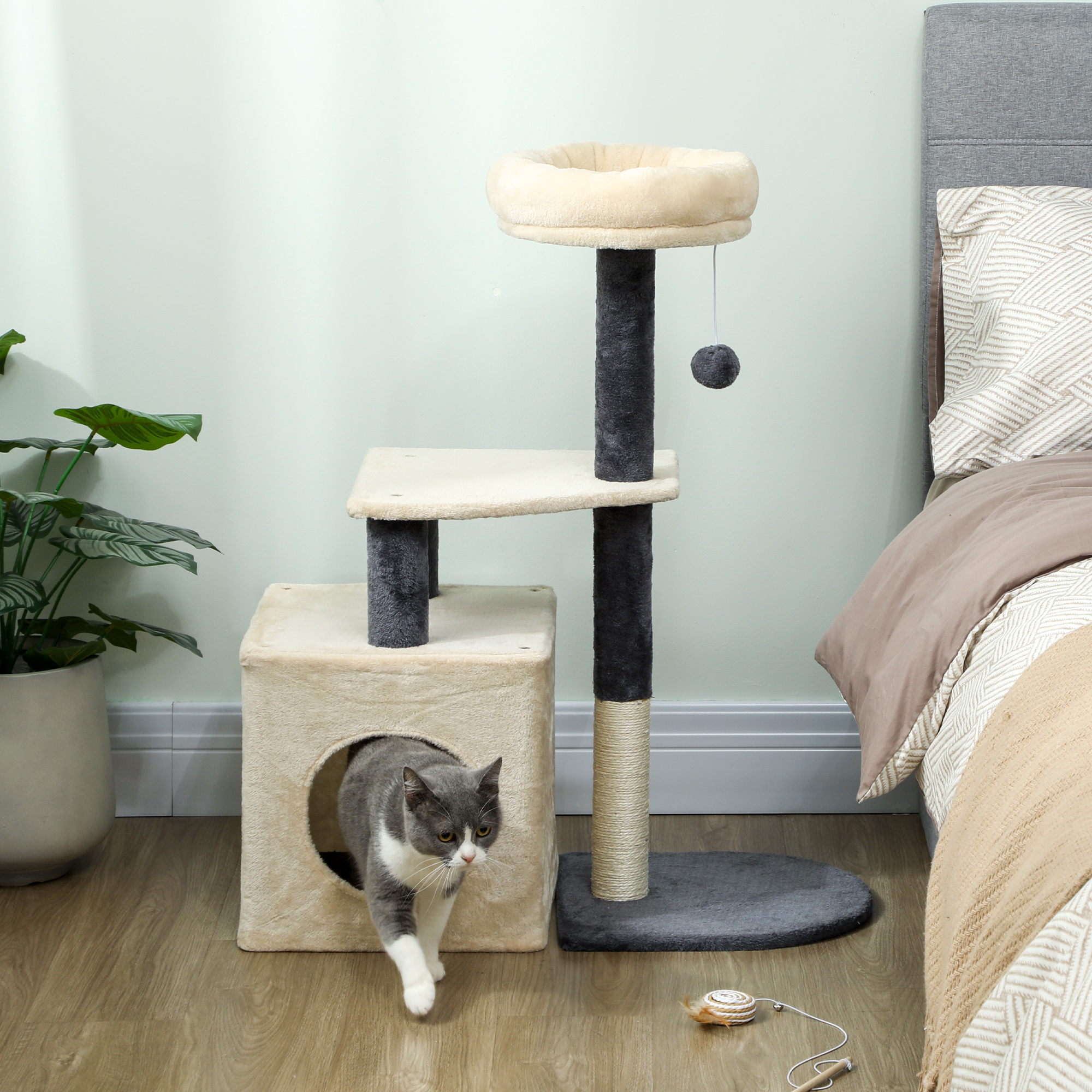 Gatto grigio e bianco esce da una cuccia beige accanto a un tiragraffi.
